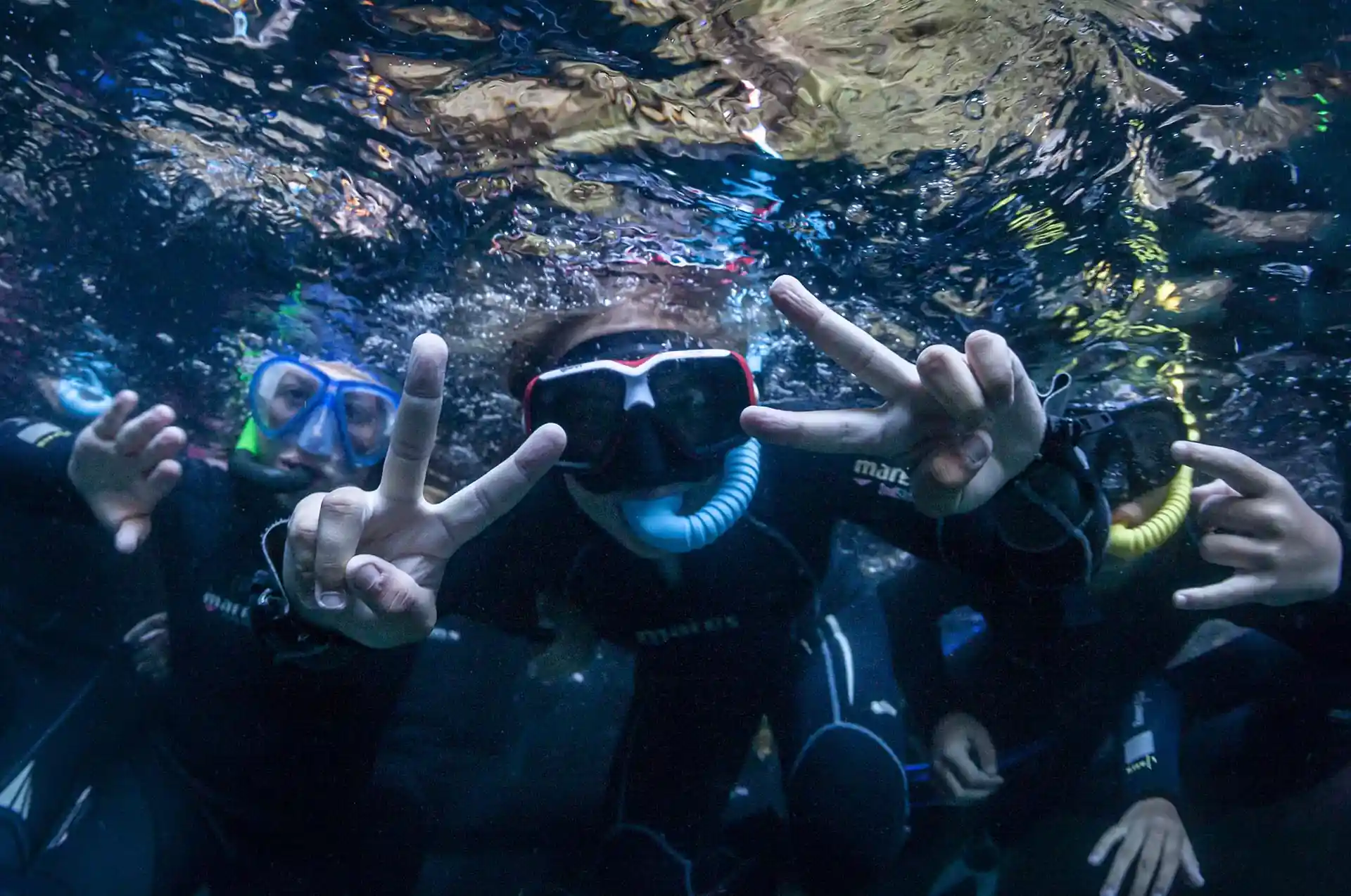 Photo de l'activité