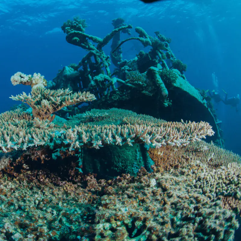 Dive operator picture