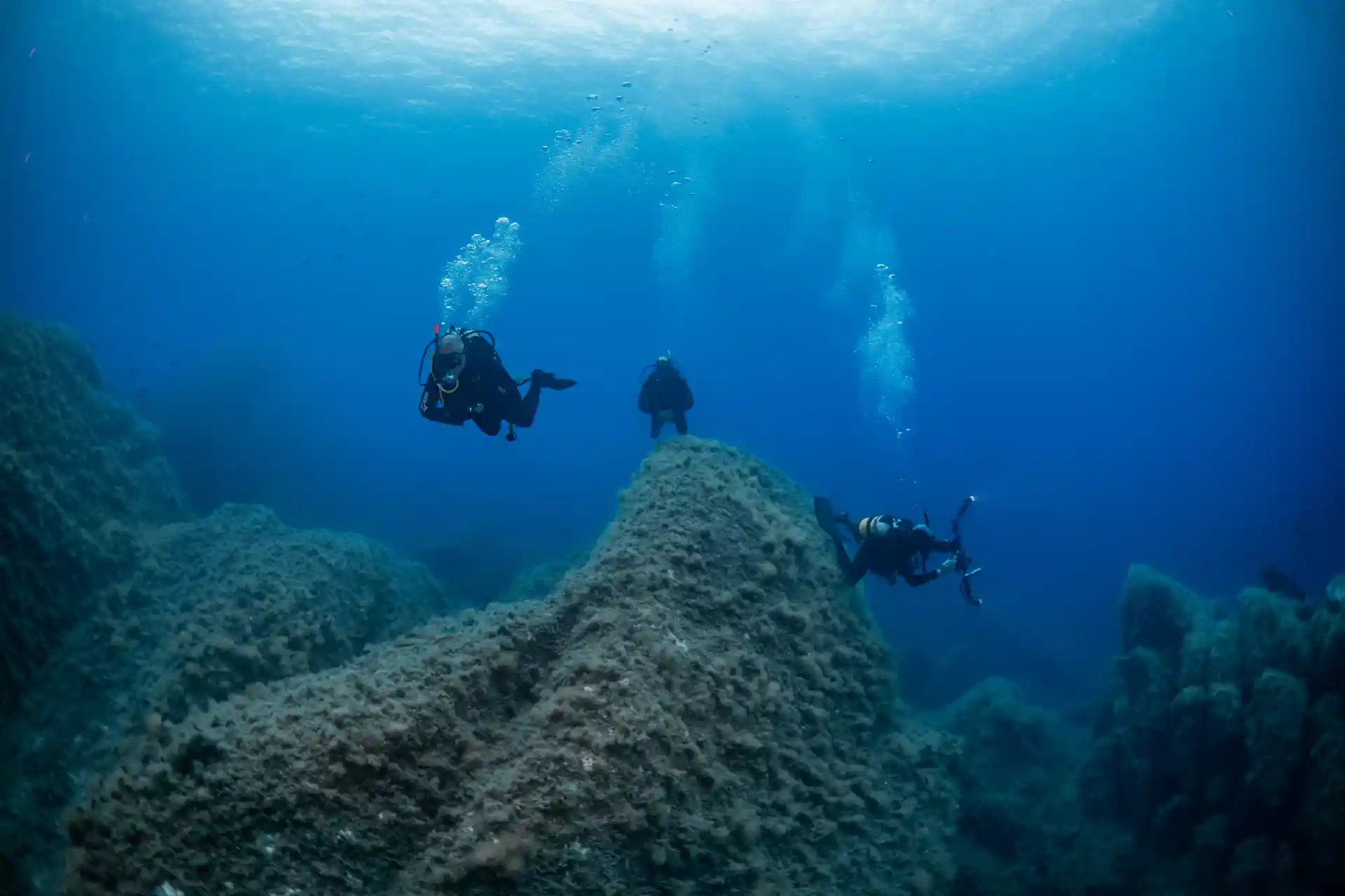 Foto de la actividad