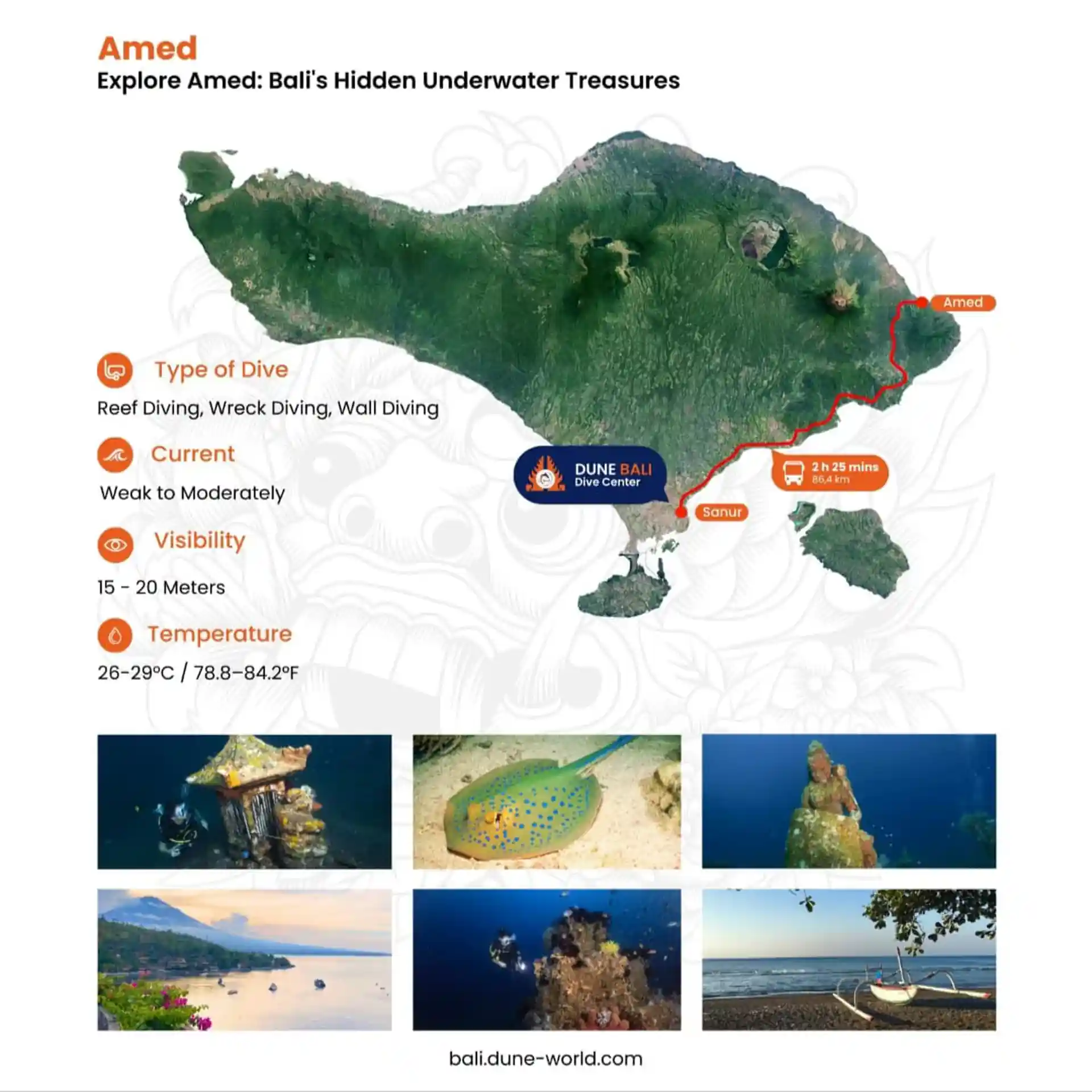 Photo de l'activité