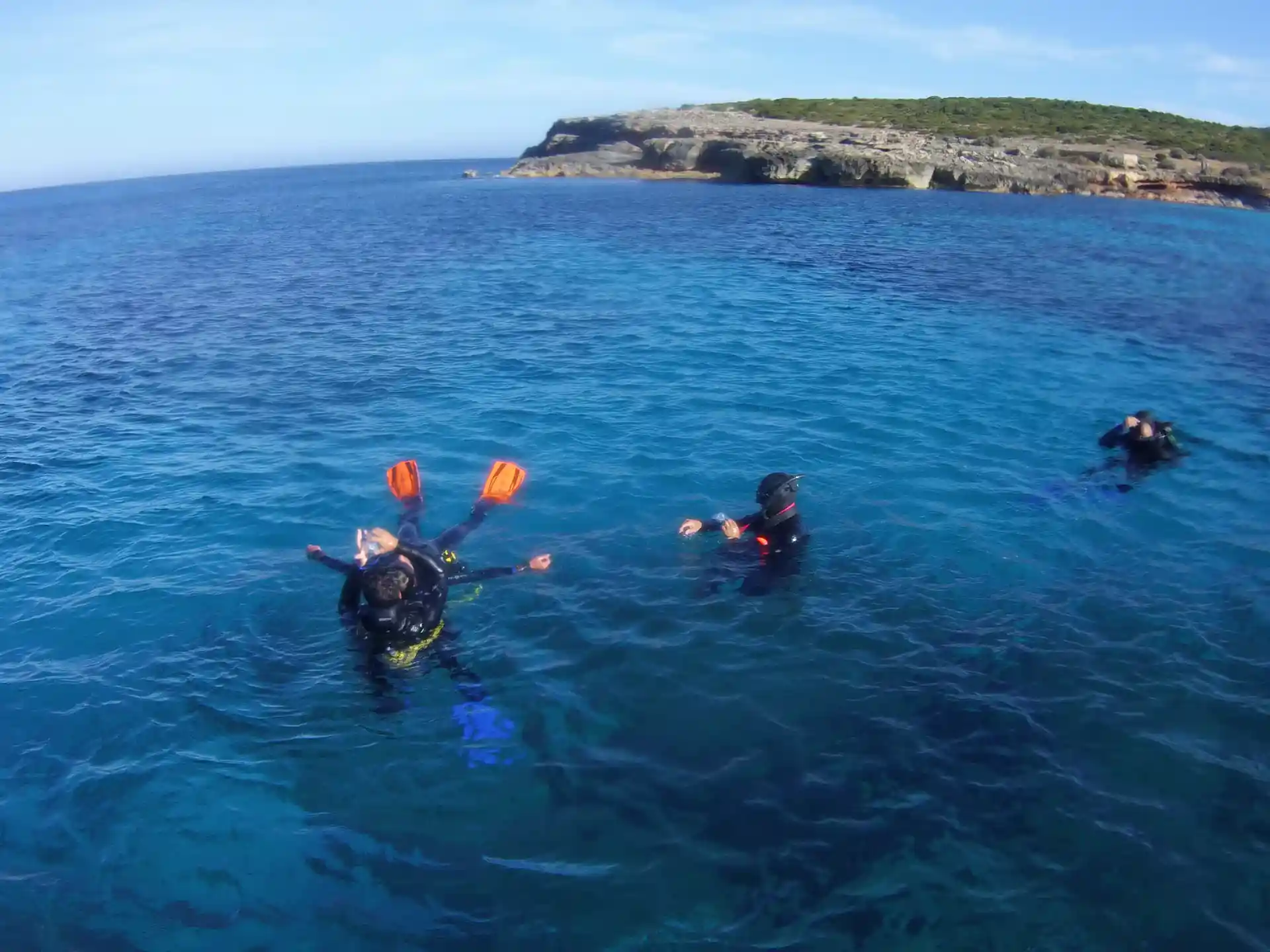 Foto de la actividad