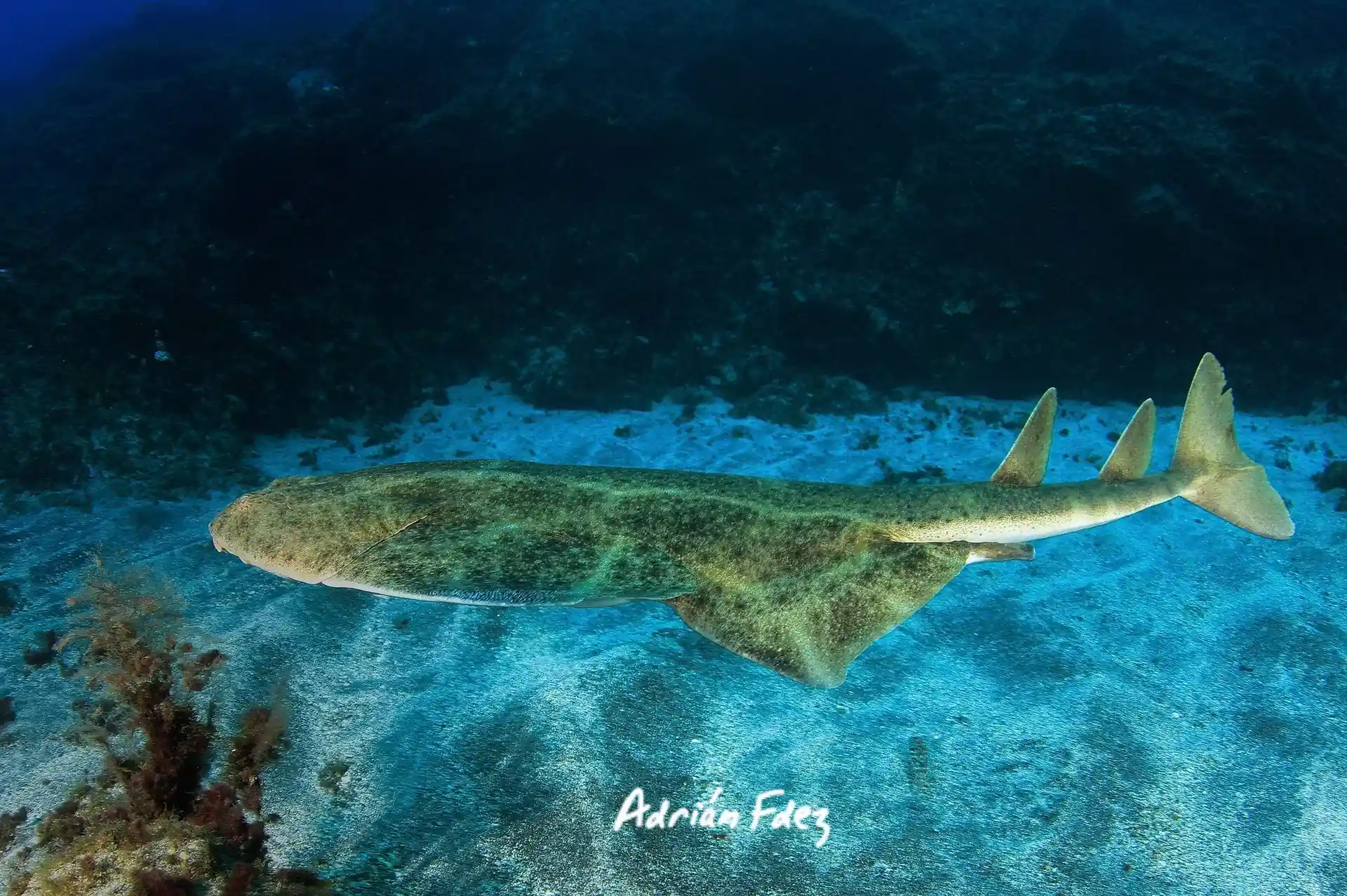 Dive site photo