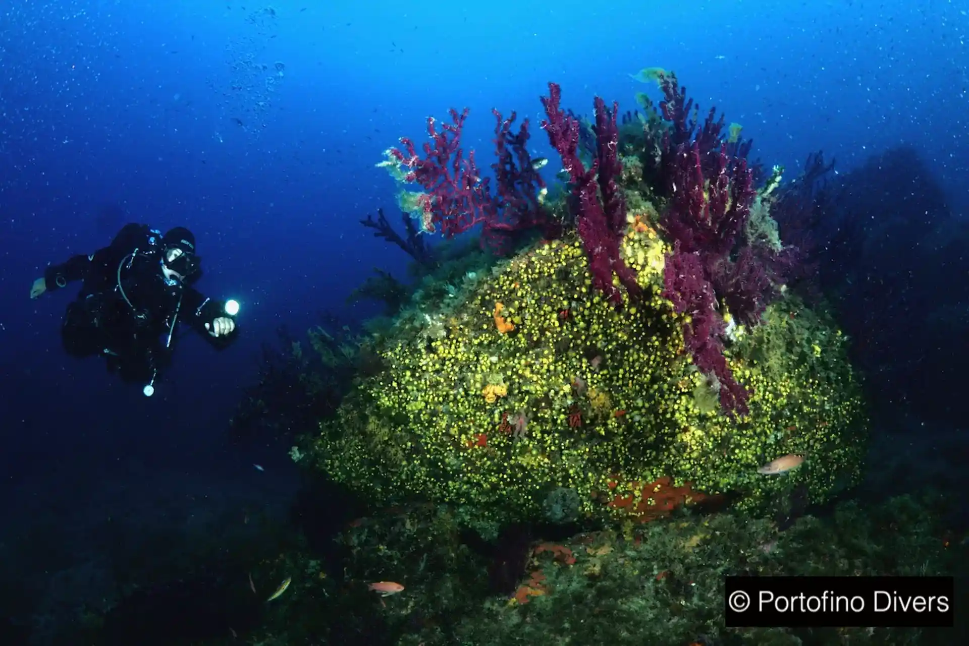 Dive site photo
