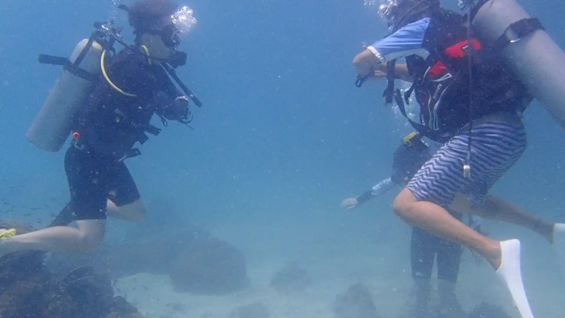 Foto de la actividad