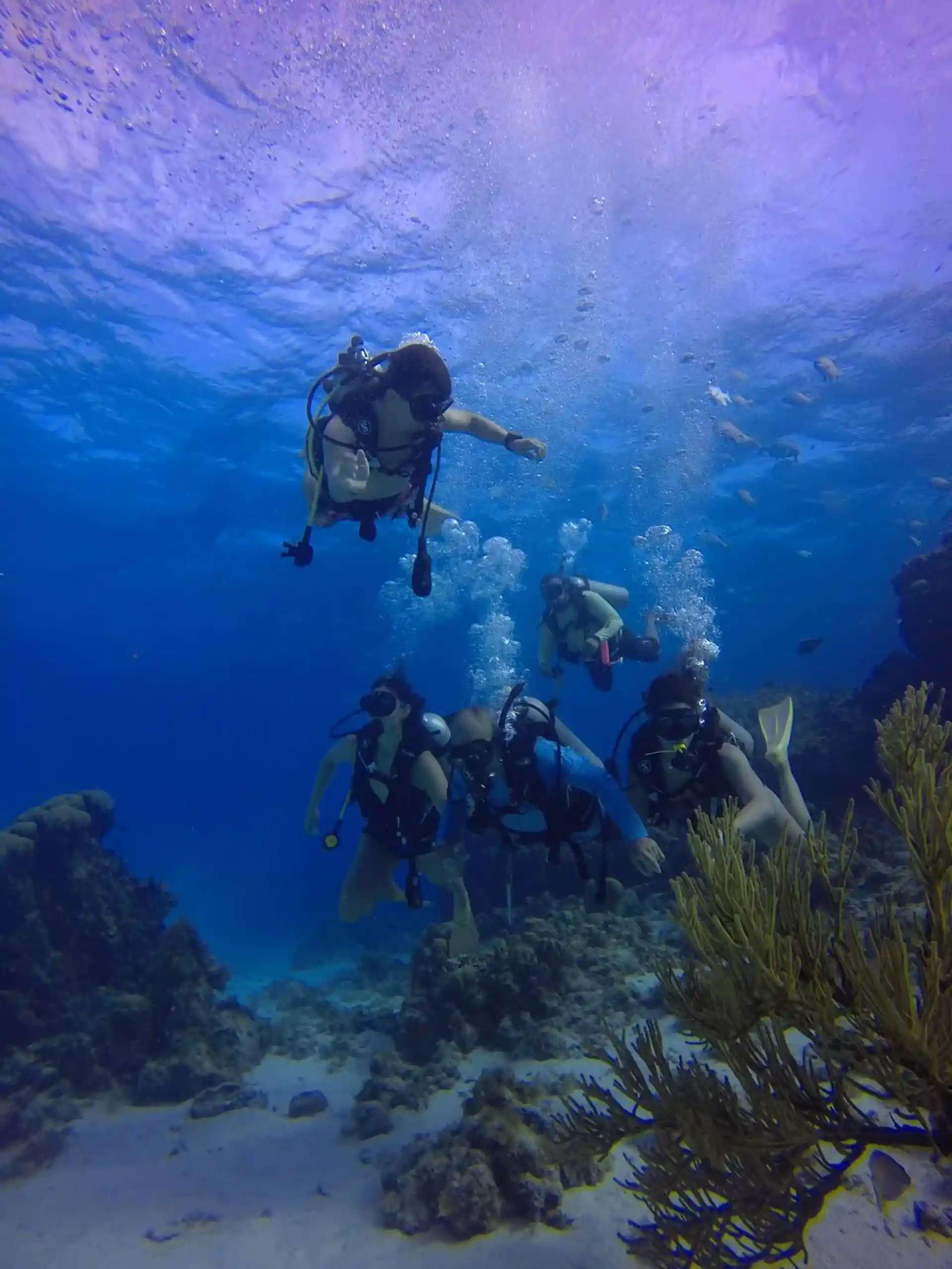 Foto del sitio de buceo