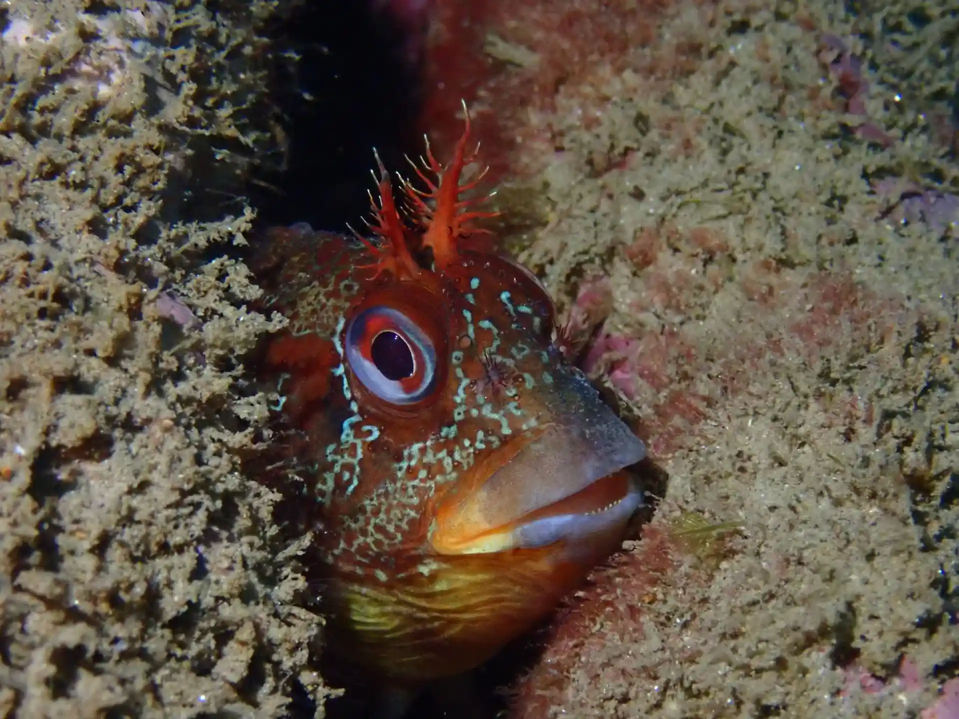 Dive site photo