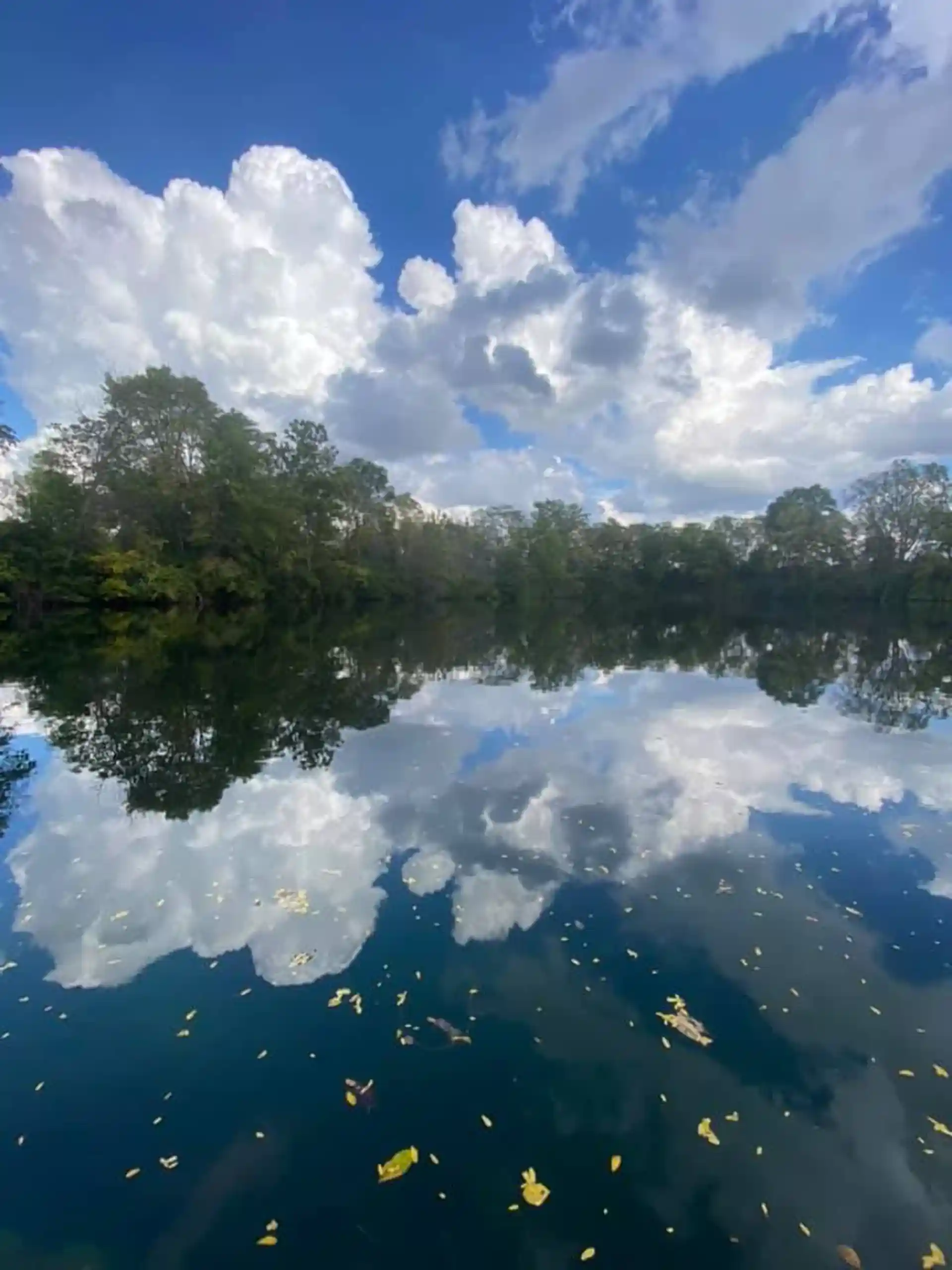 Dive site photo