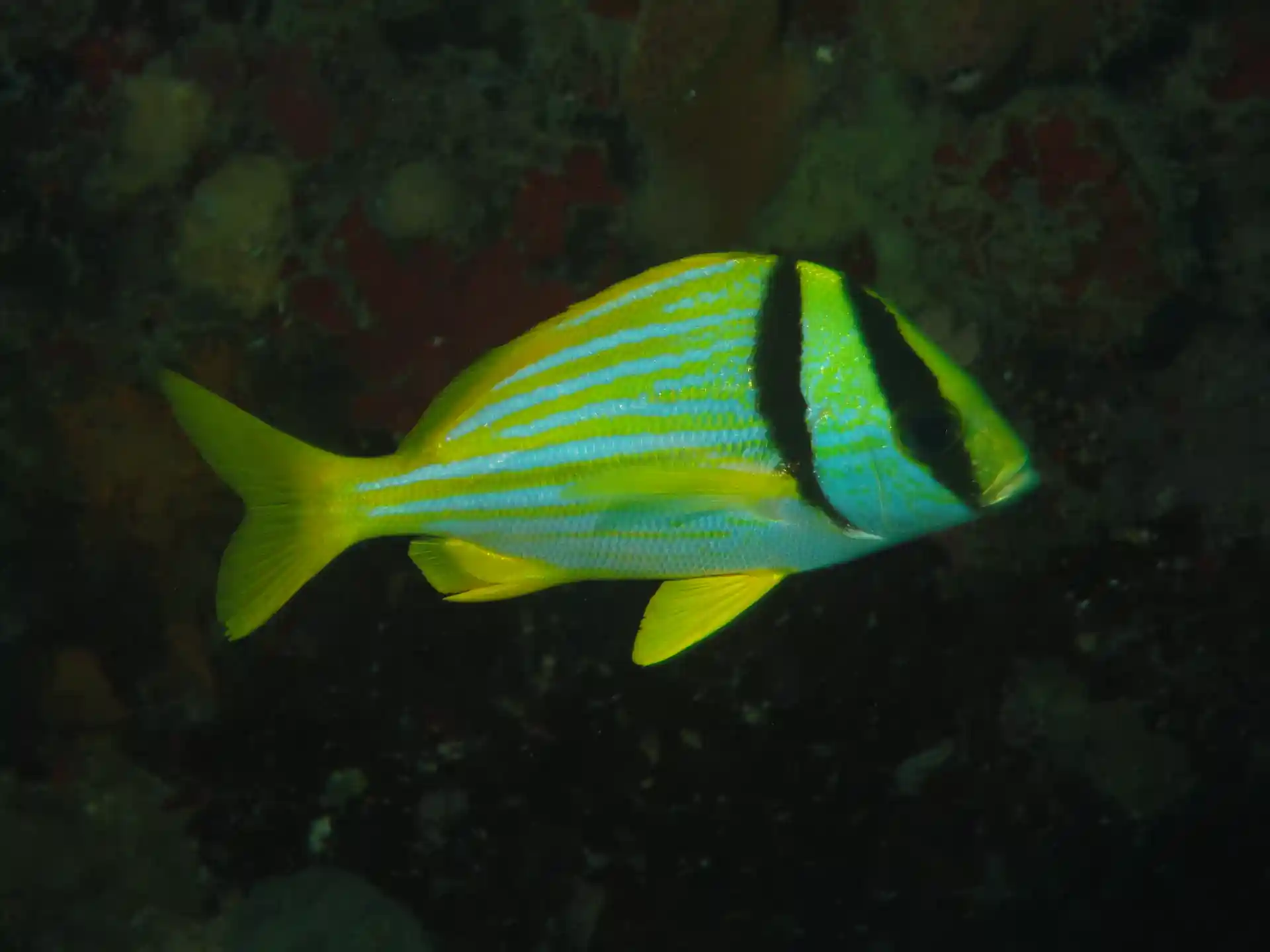 Foto de la actividad