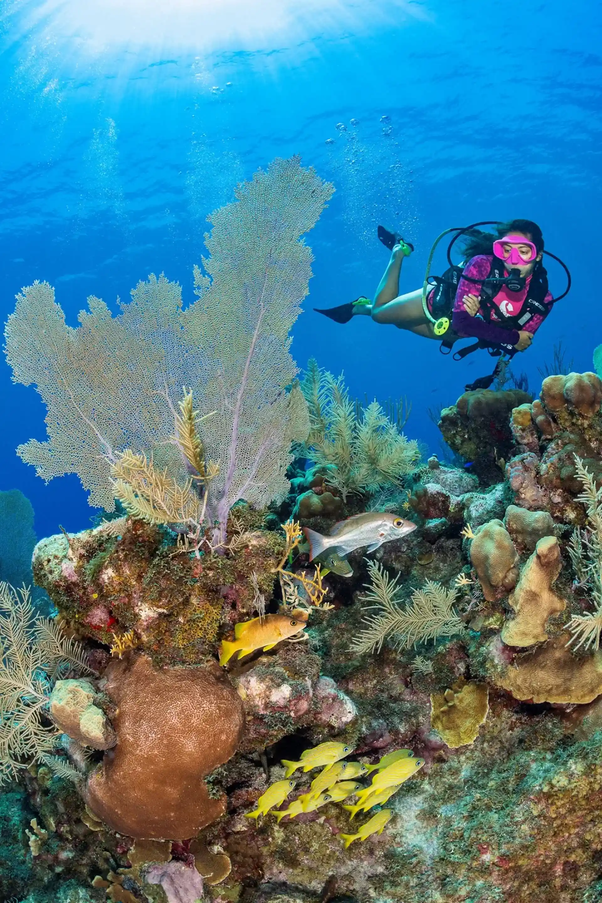 Dive site photo