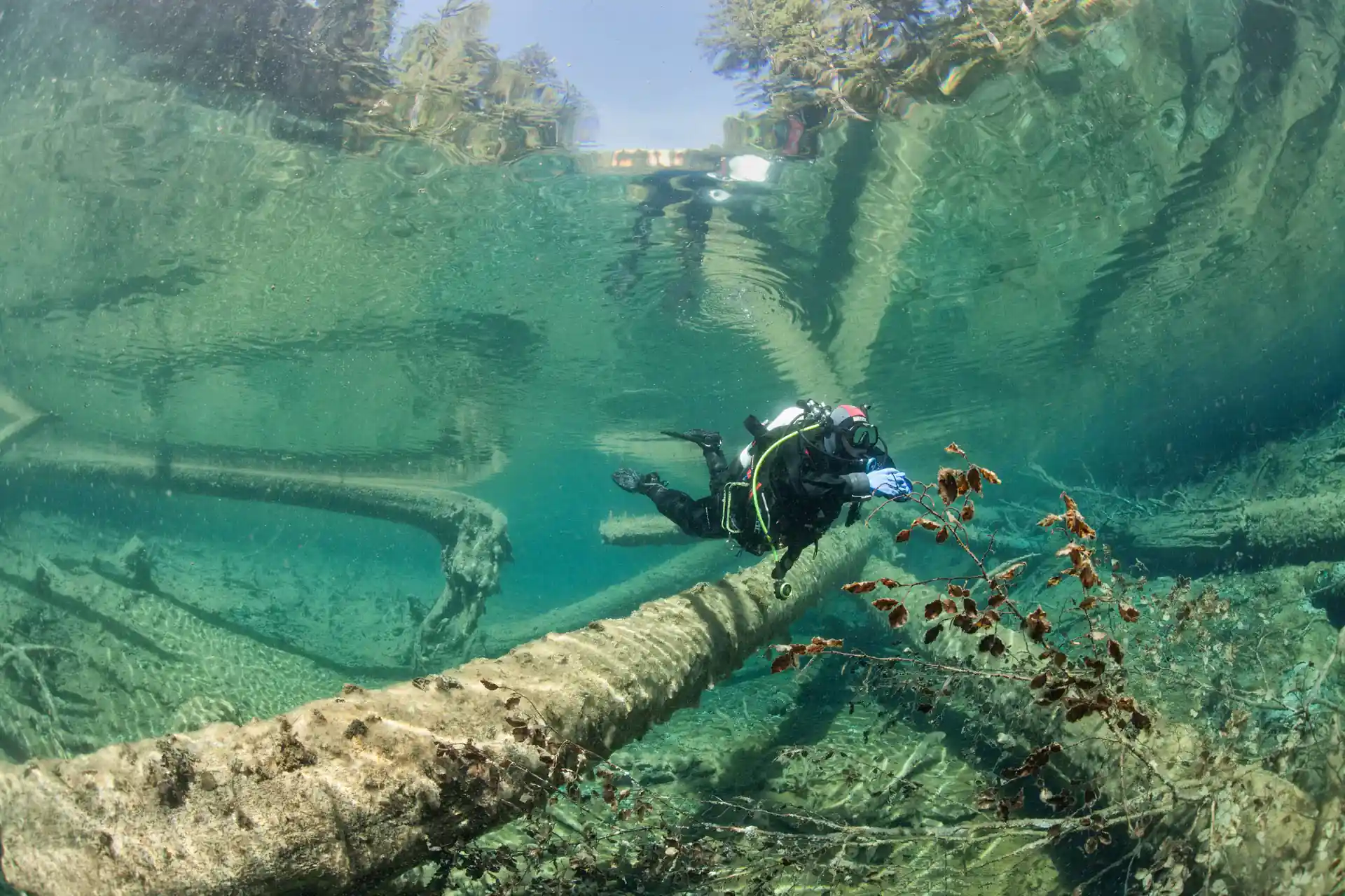 Foto de la actividad