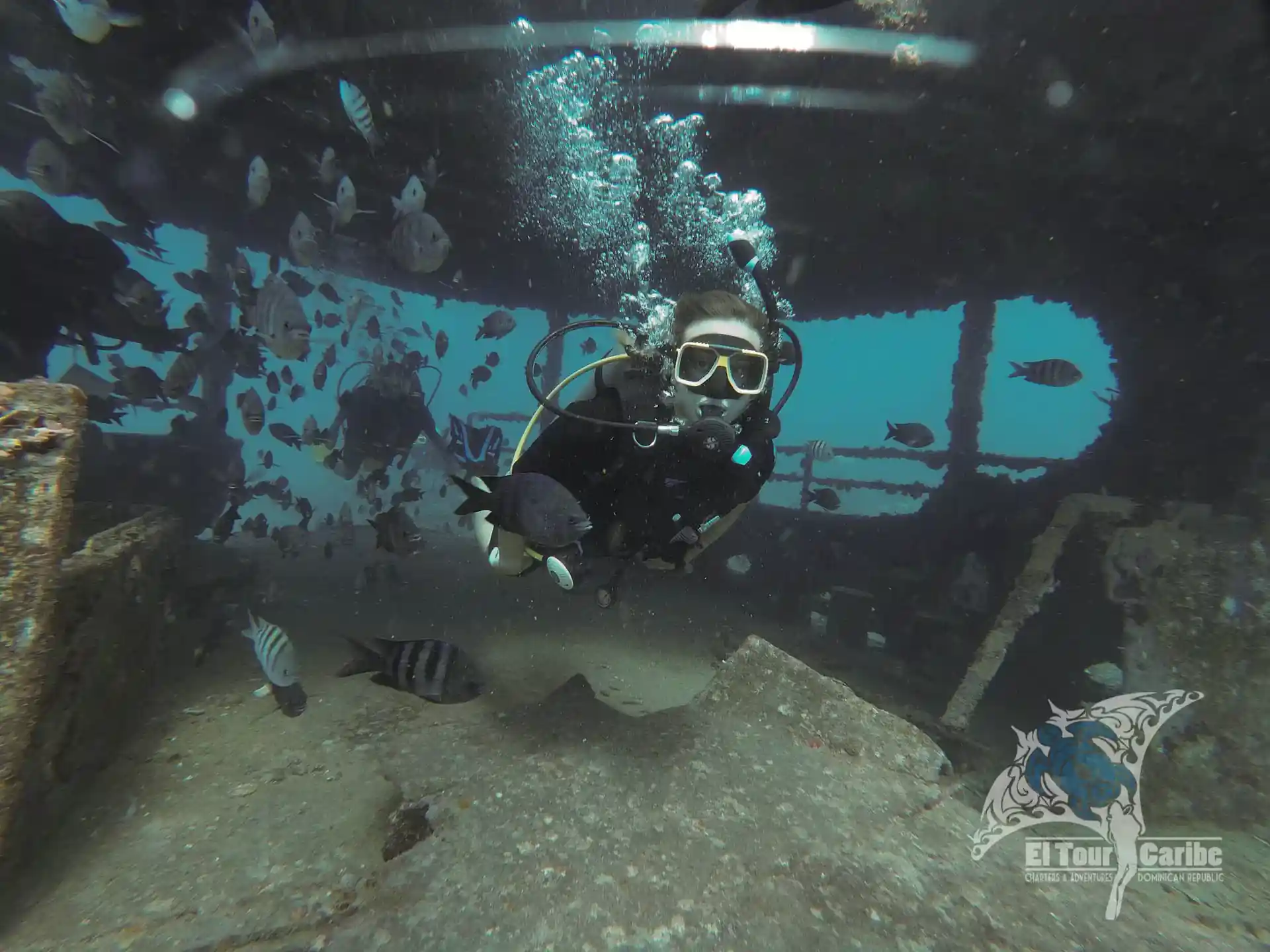Practice your buoyancy & Explore shipwrecks during your PADI Advanced Open Water Course.