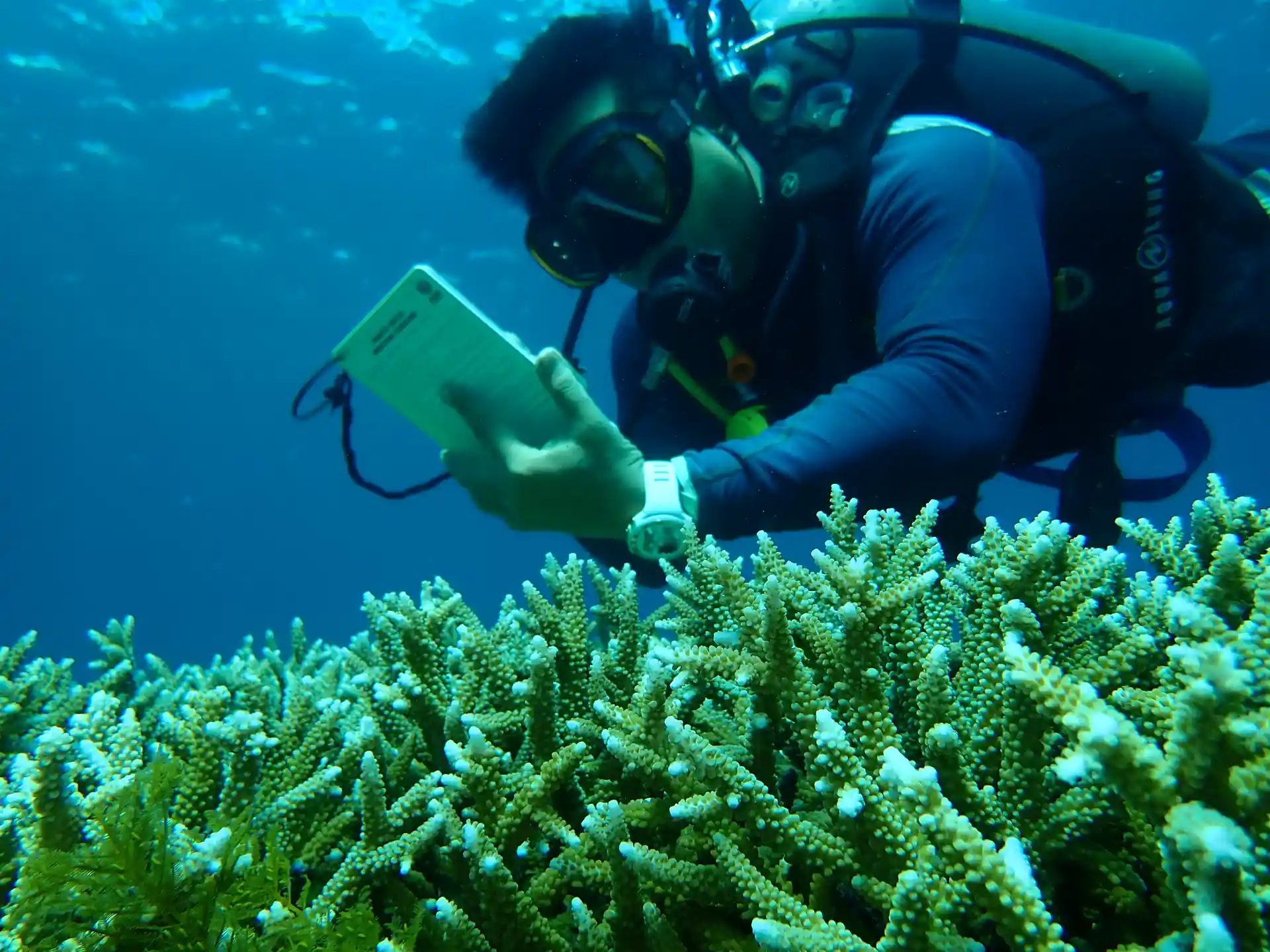 Bali Conservation Diving Instructor monitoring coral reef communities