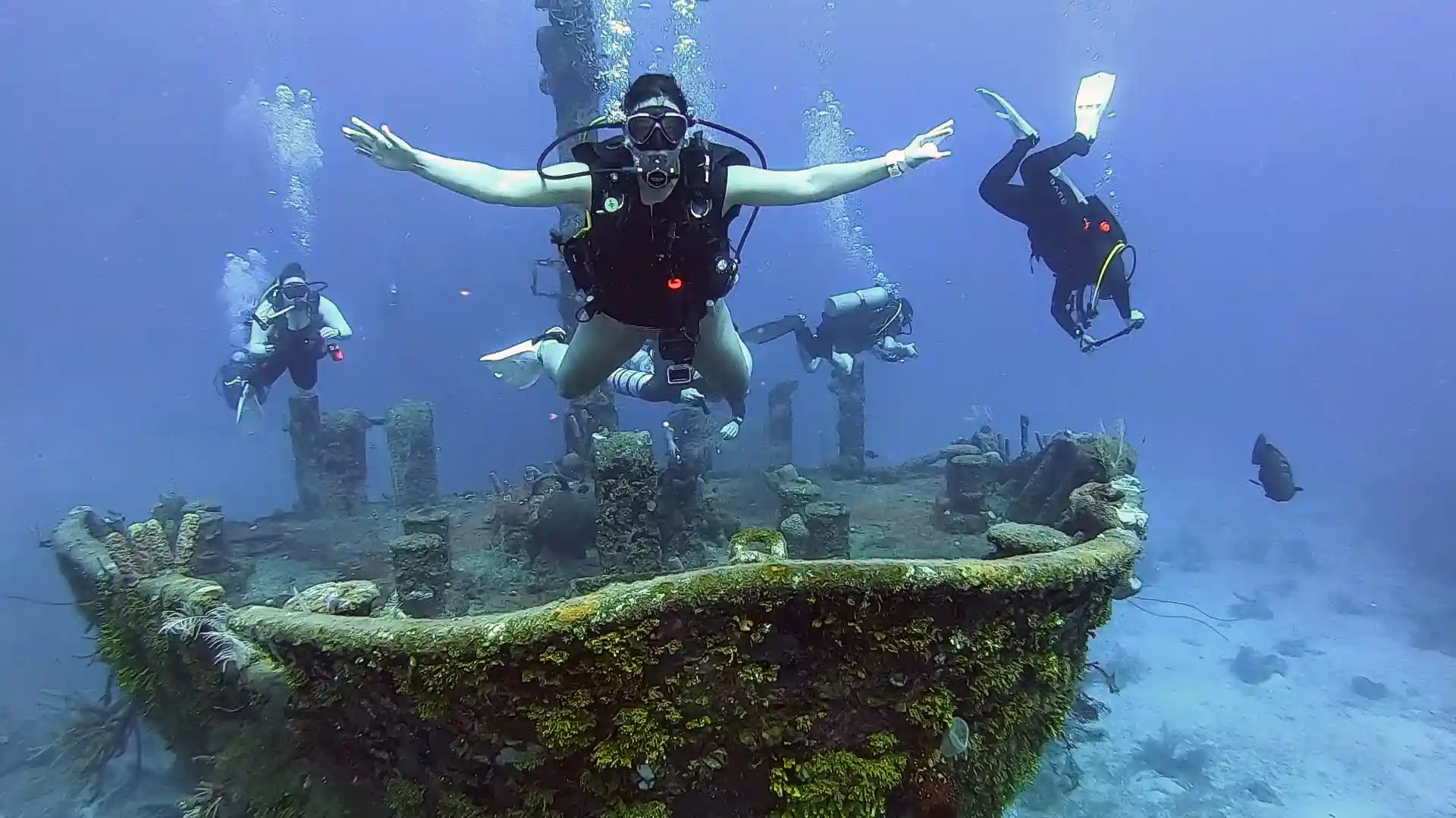 Dive shop photo