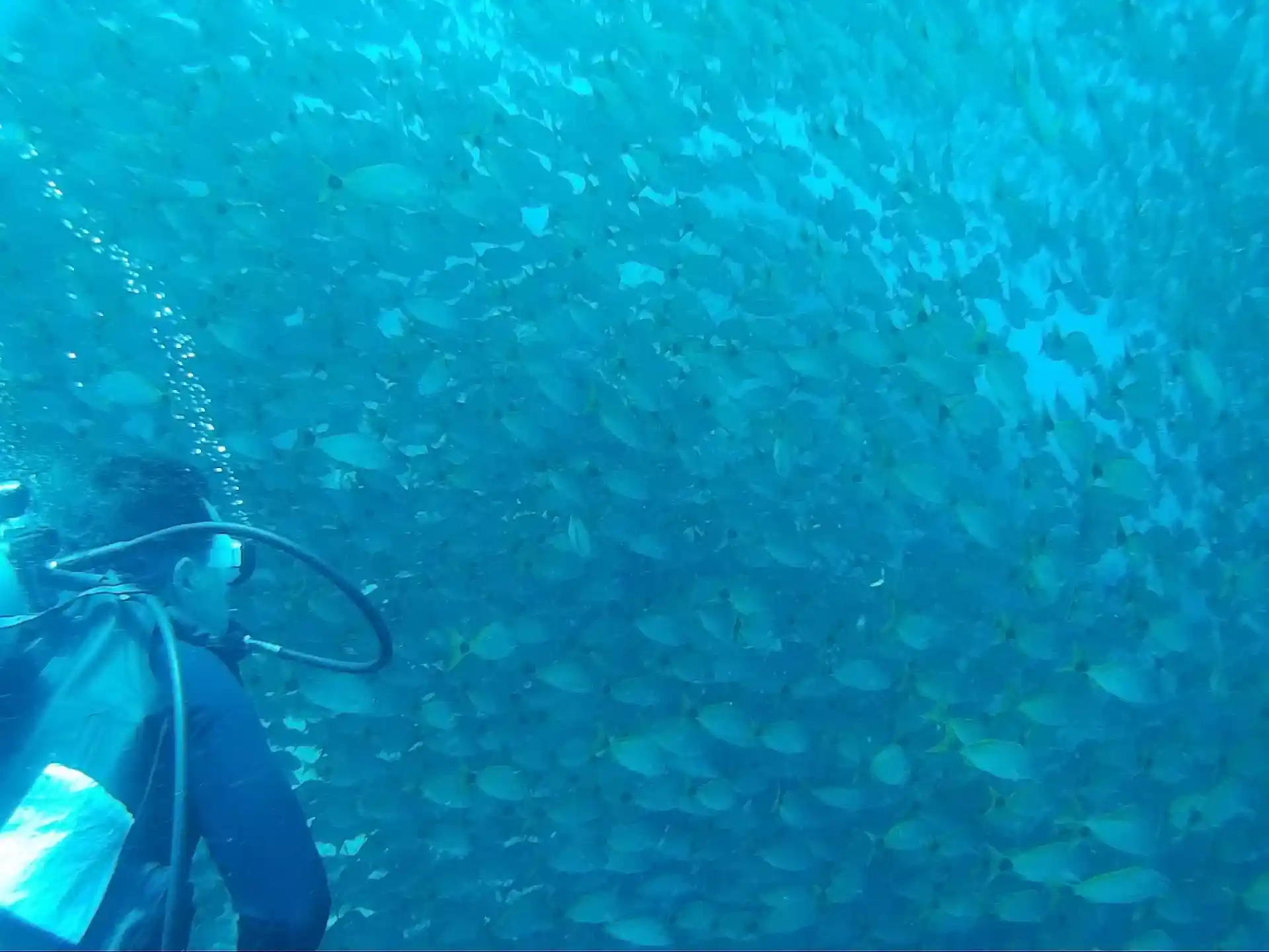 Dive site photo