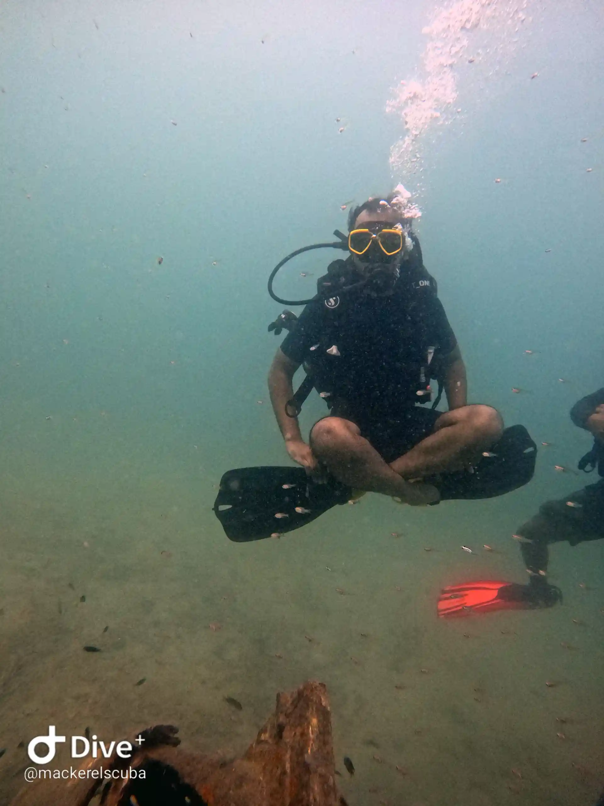 Hovering it's a skill for divers staying in on place for observe any onject