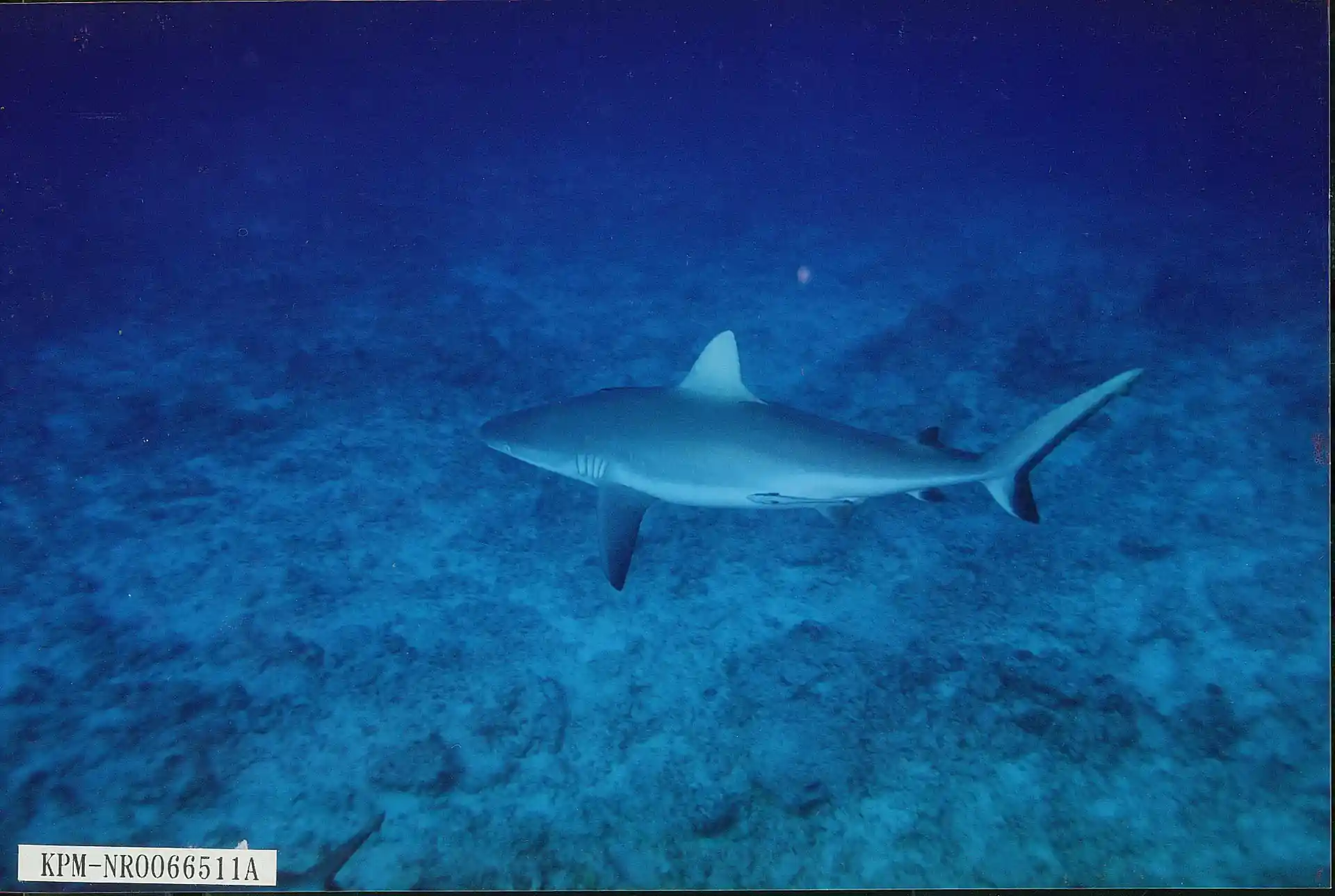 Dive site photo