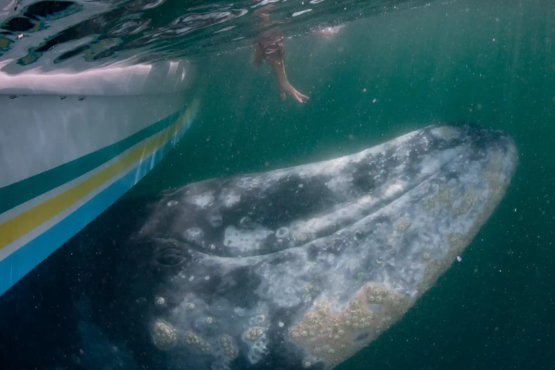 Foto del sitio de buceo