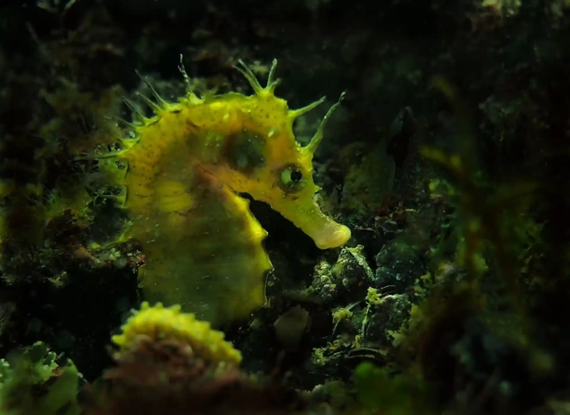 Photo du site de plongée