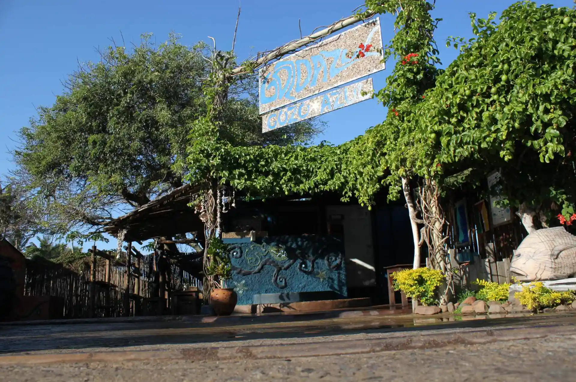 Dive shop photo