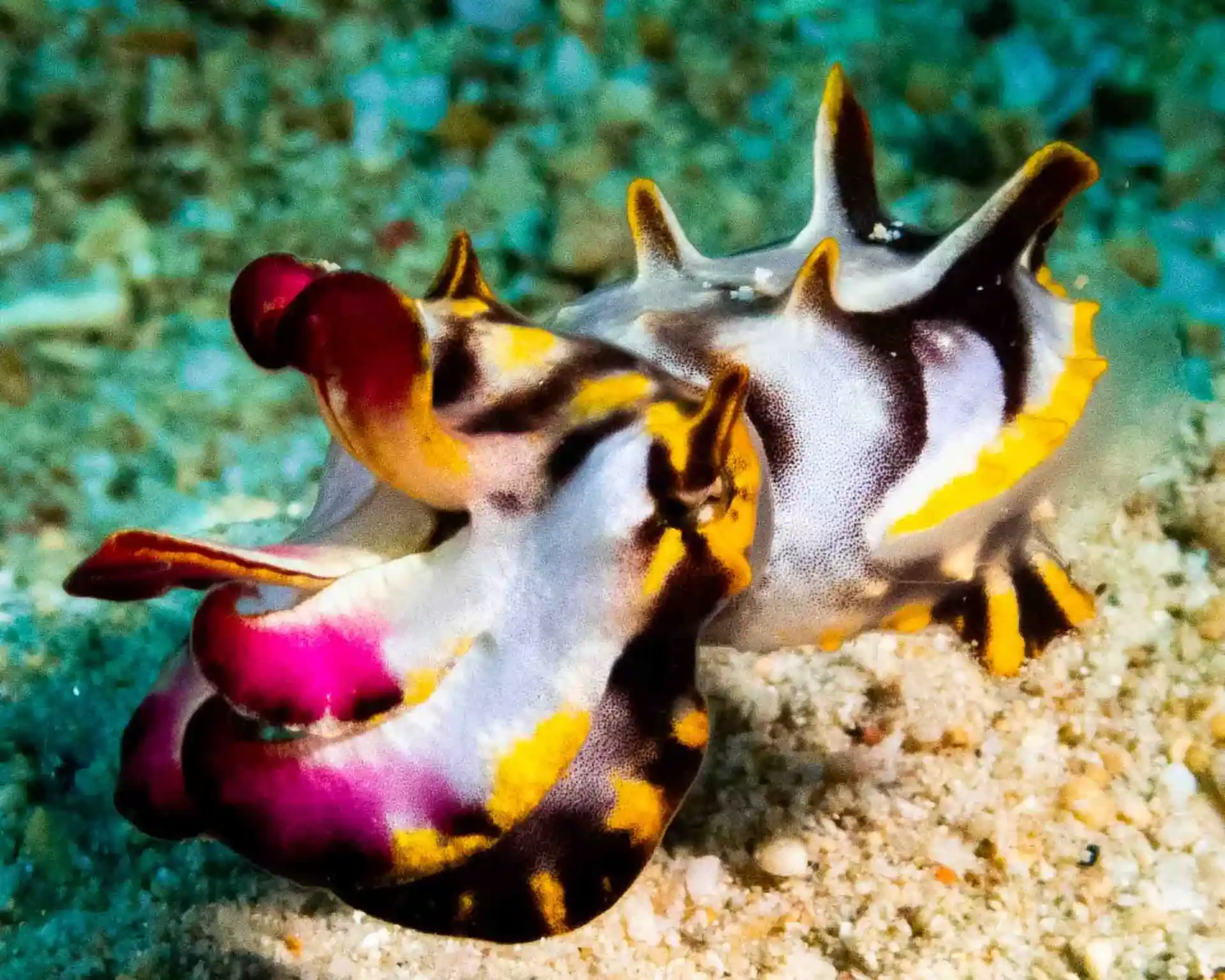 Foto del sitio de buceo