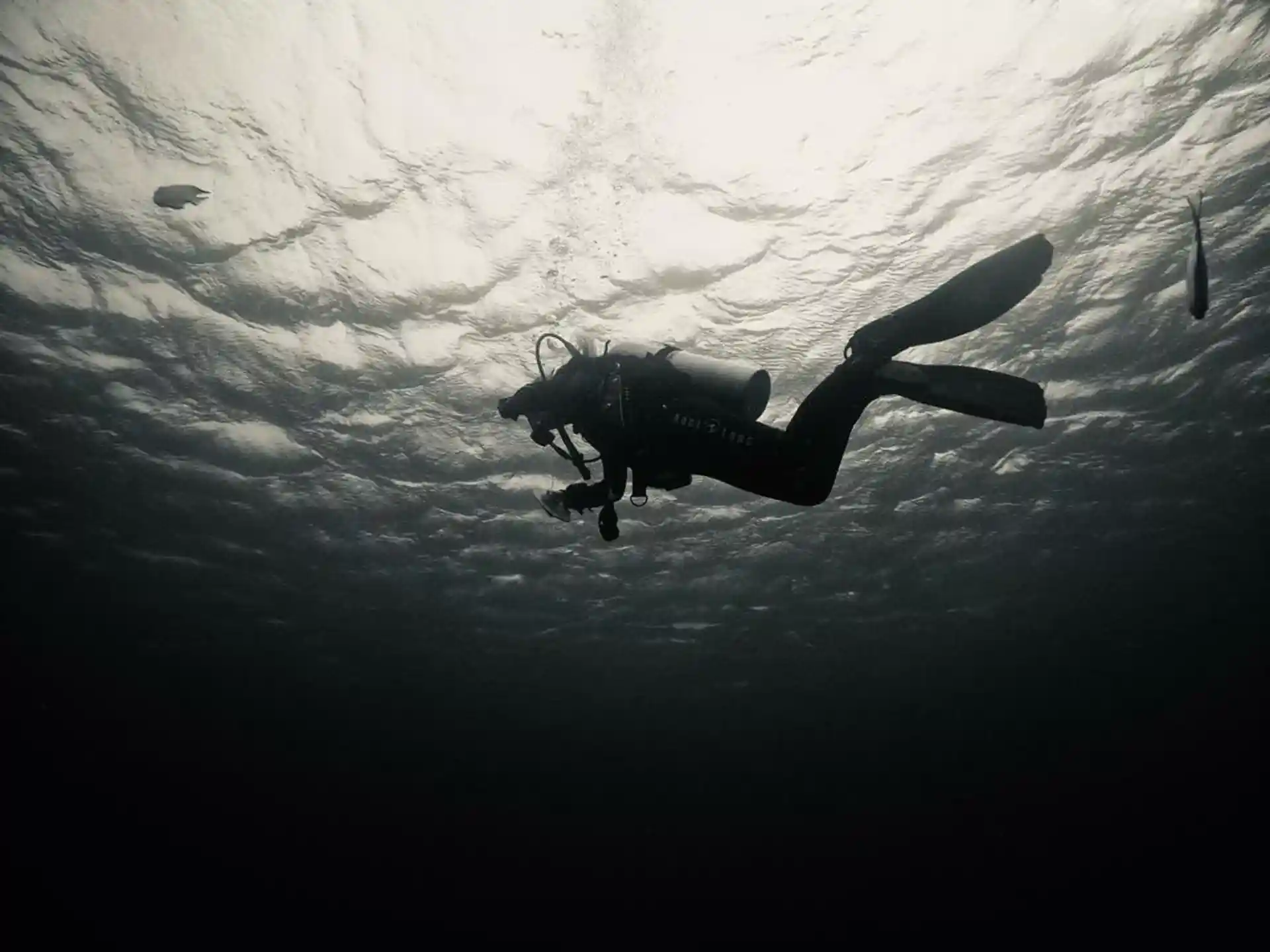 Photo de l'activité