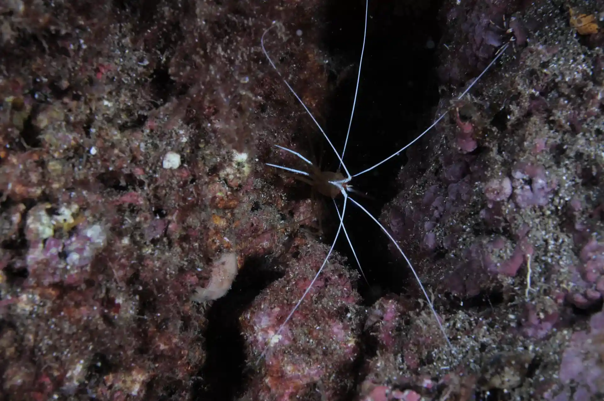 Foto des Tauchplatzes