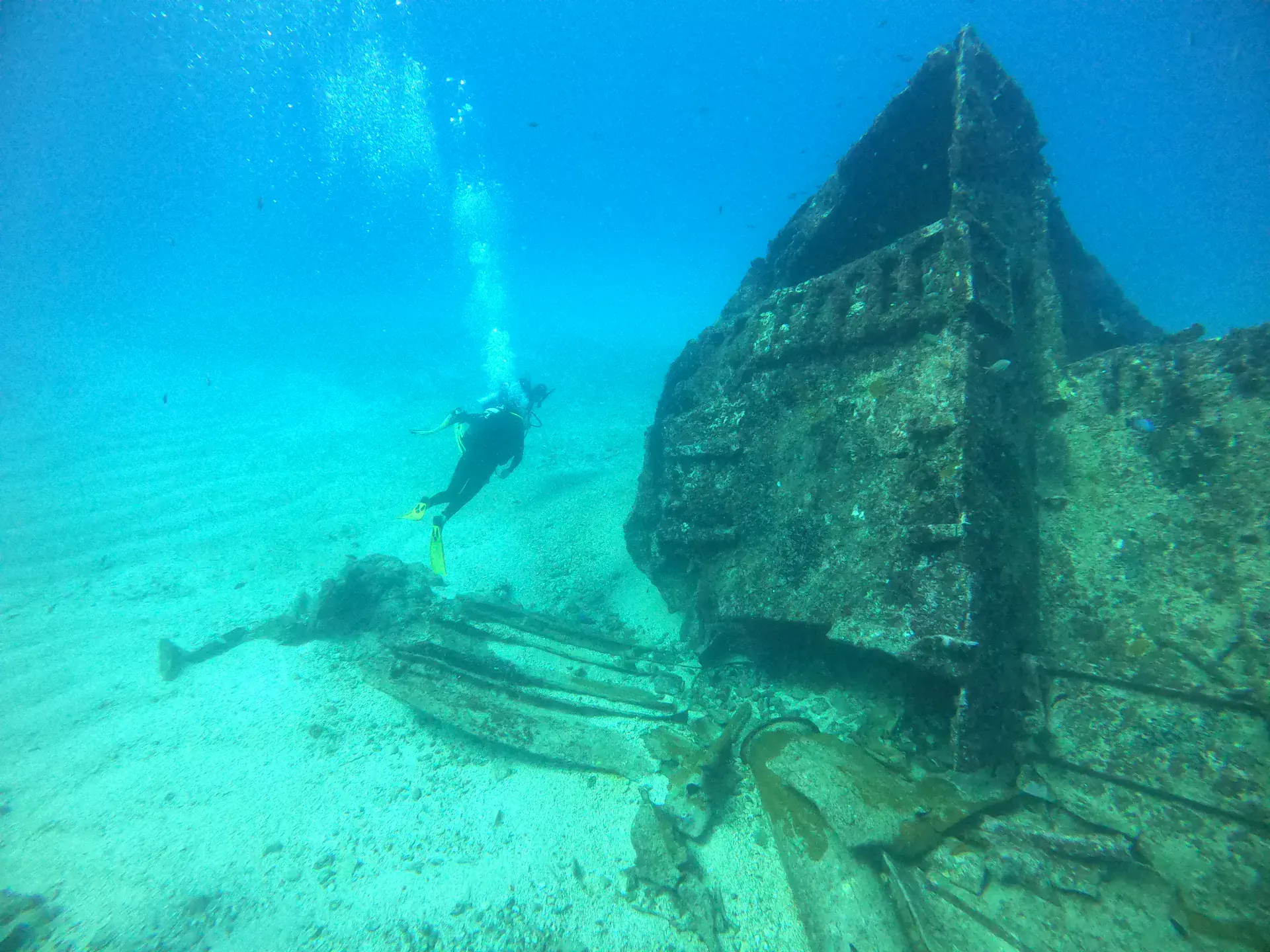 Foto de la actividad