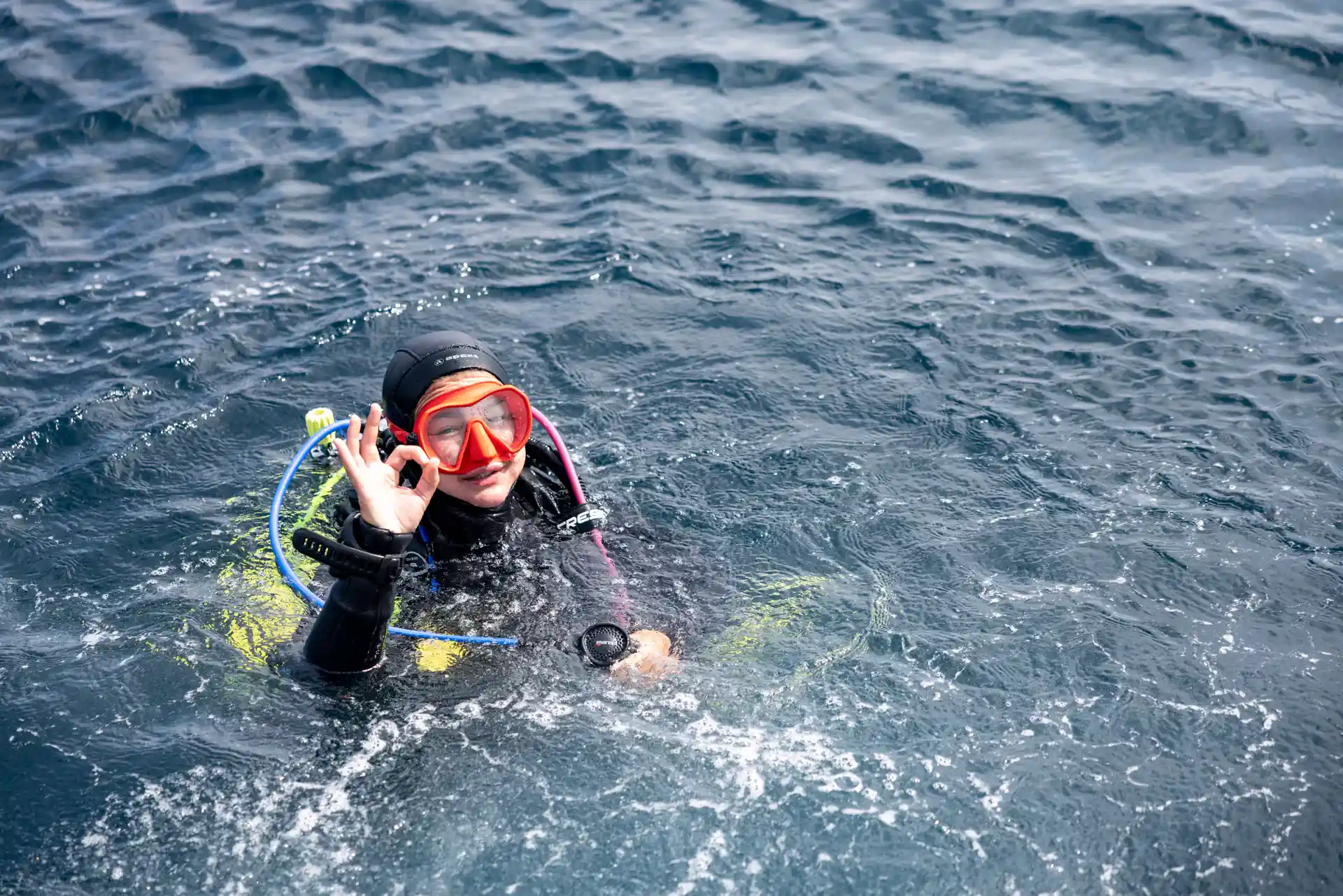 Foto de la actividad