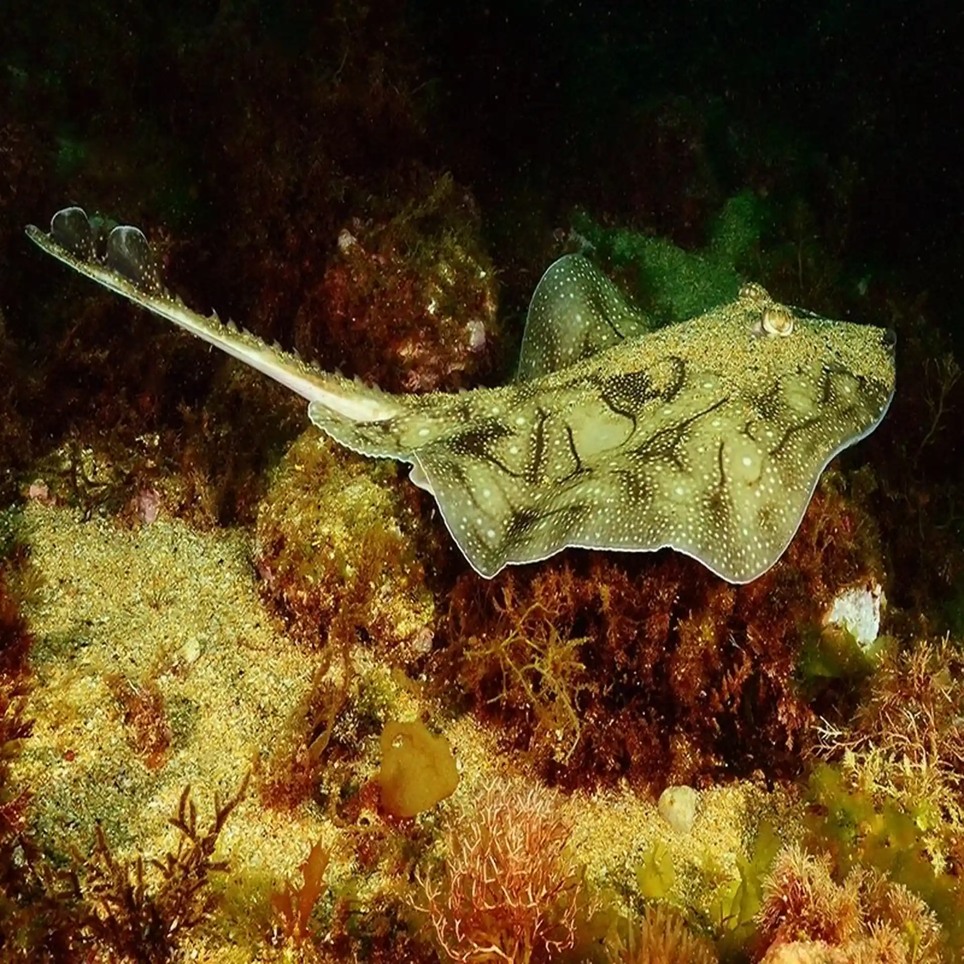 Dive site photo