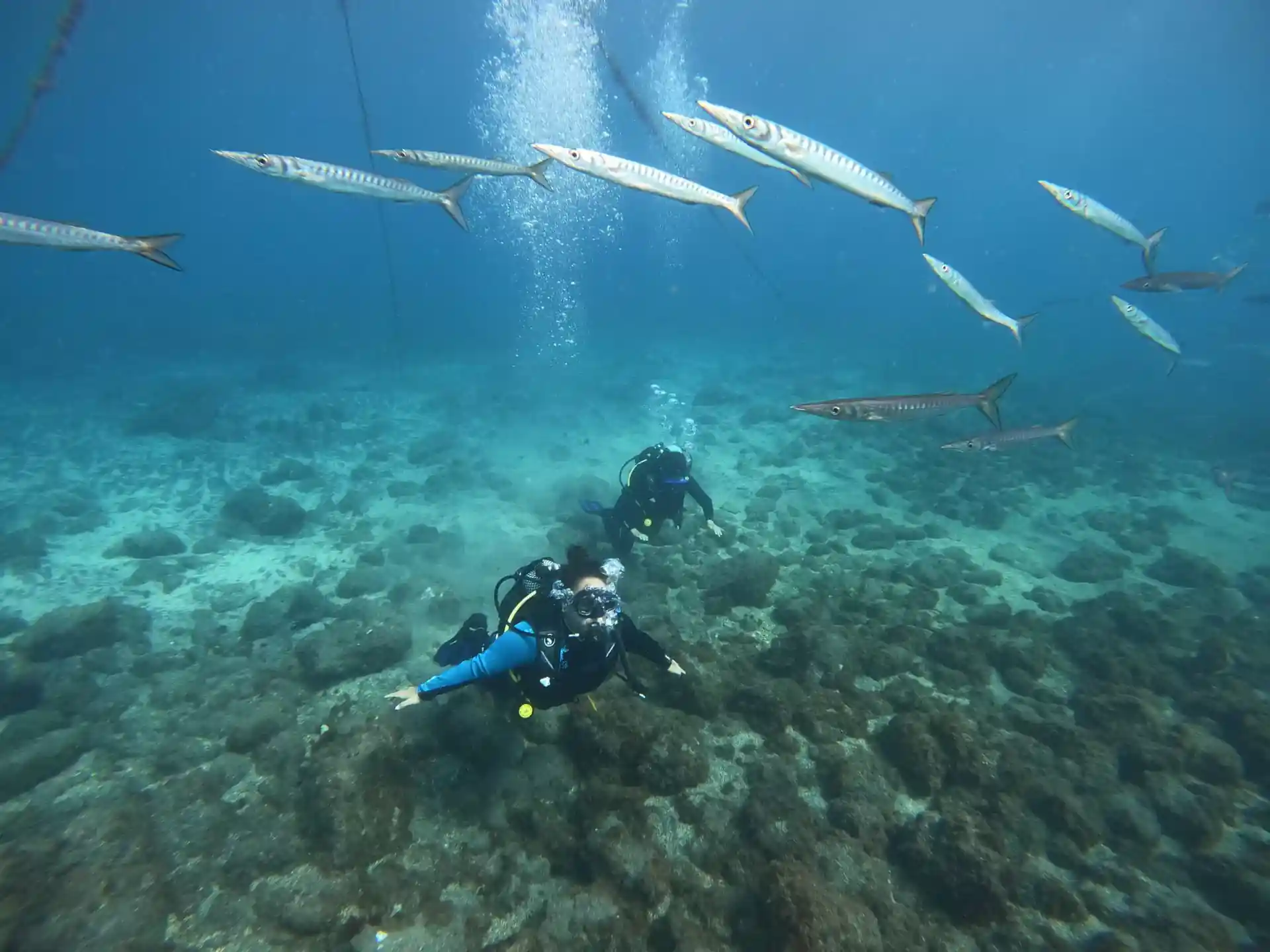 Dive shop photo