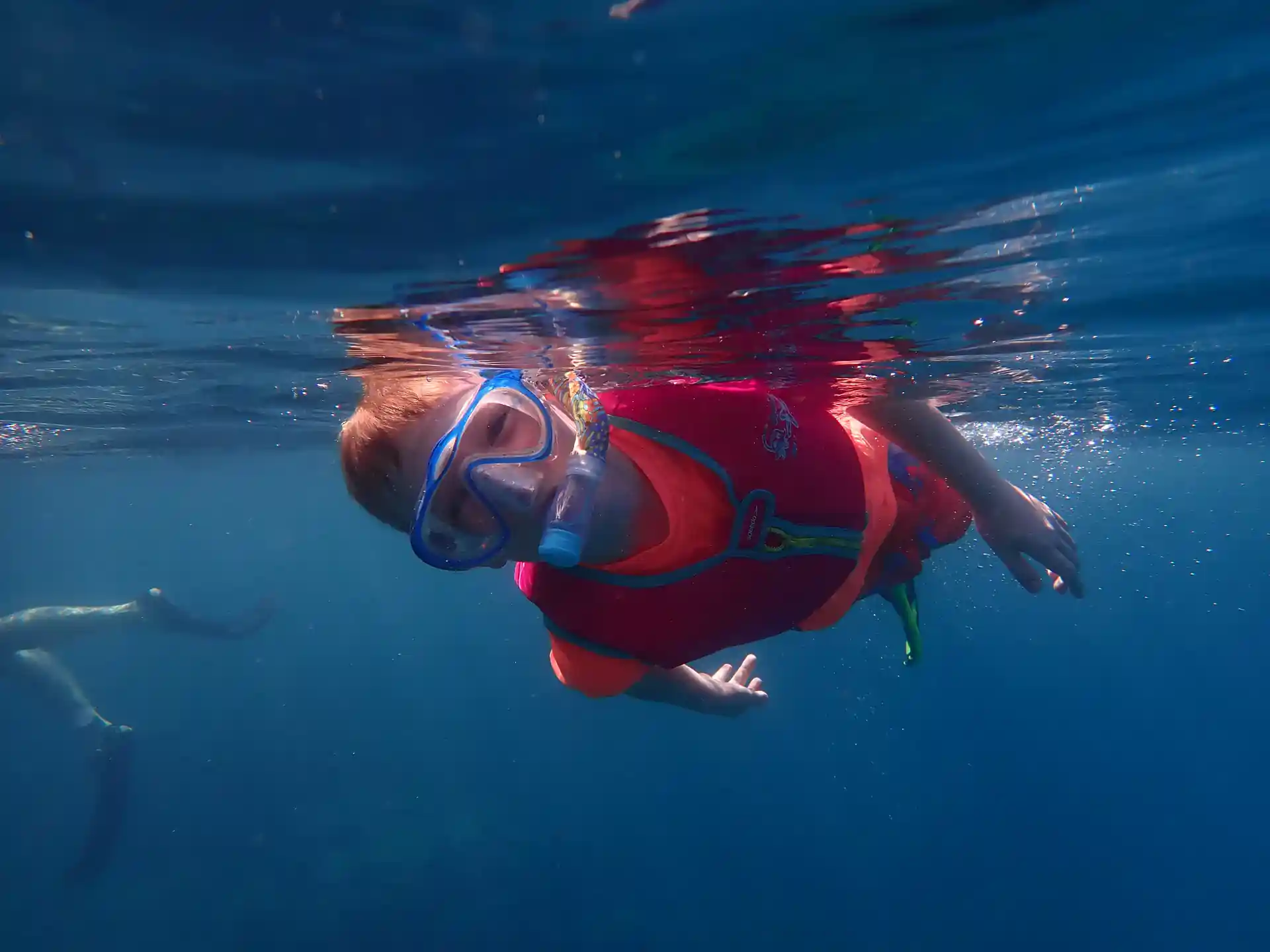 Snorkeller at Oval Reef