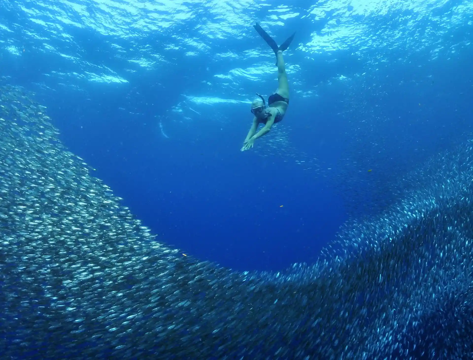 Dive site photo