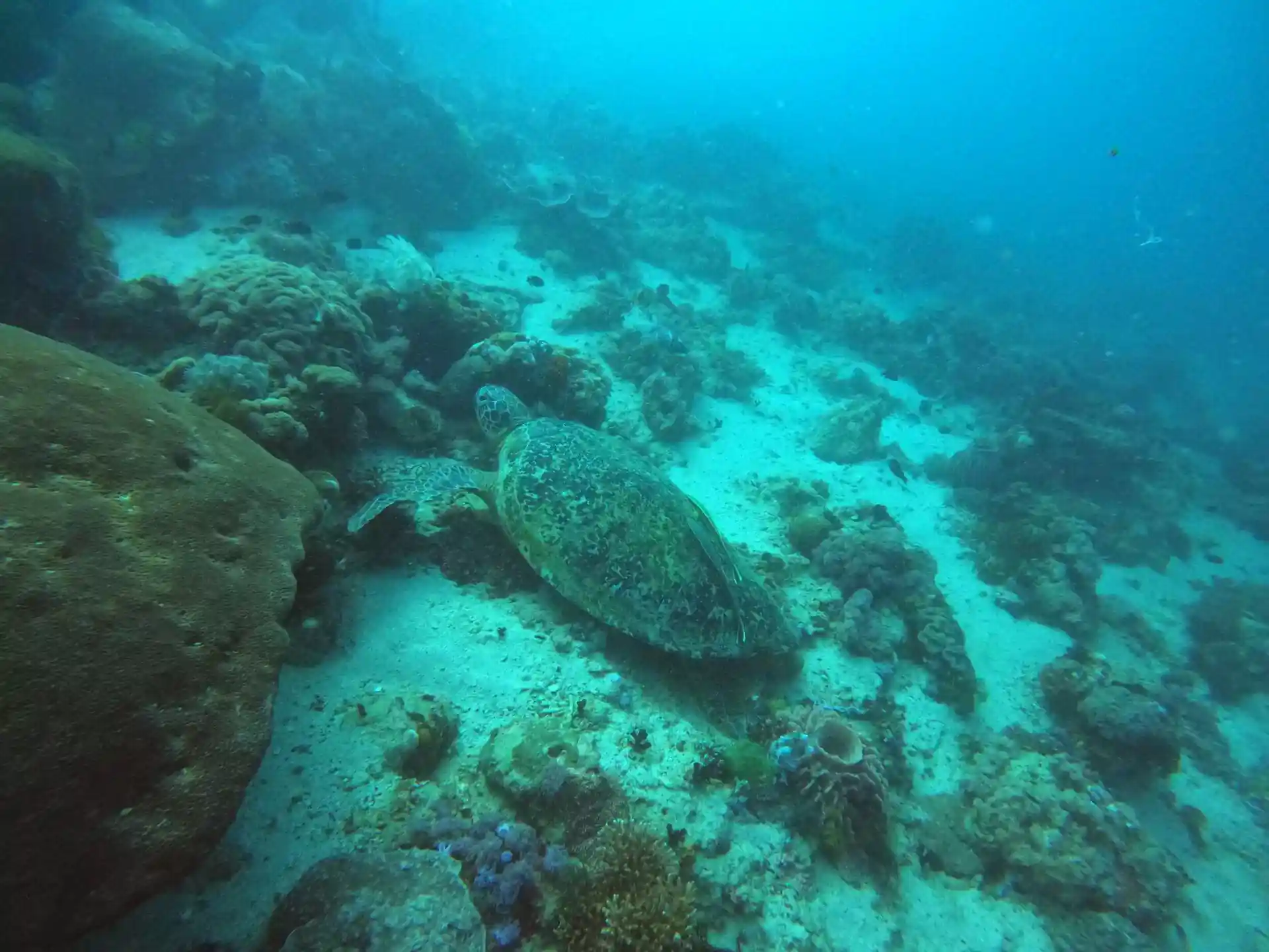 Dive site photo
