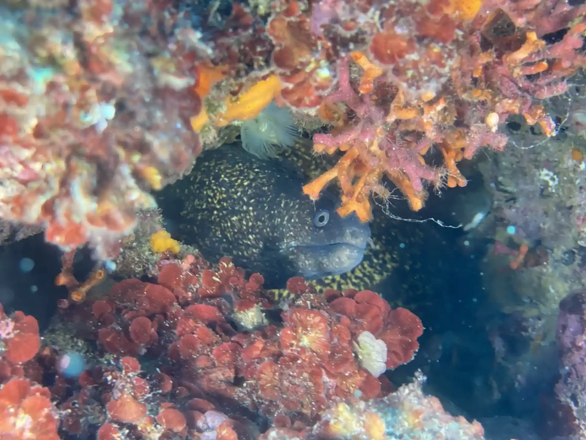 다이빙 포인트 사진