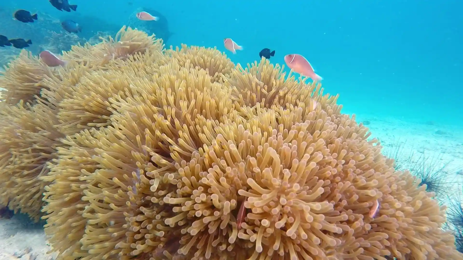 Foto van de duiklocatie