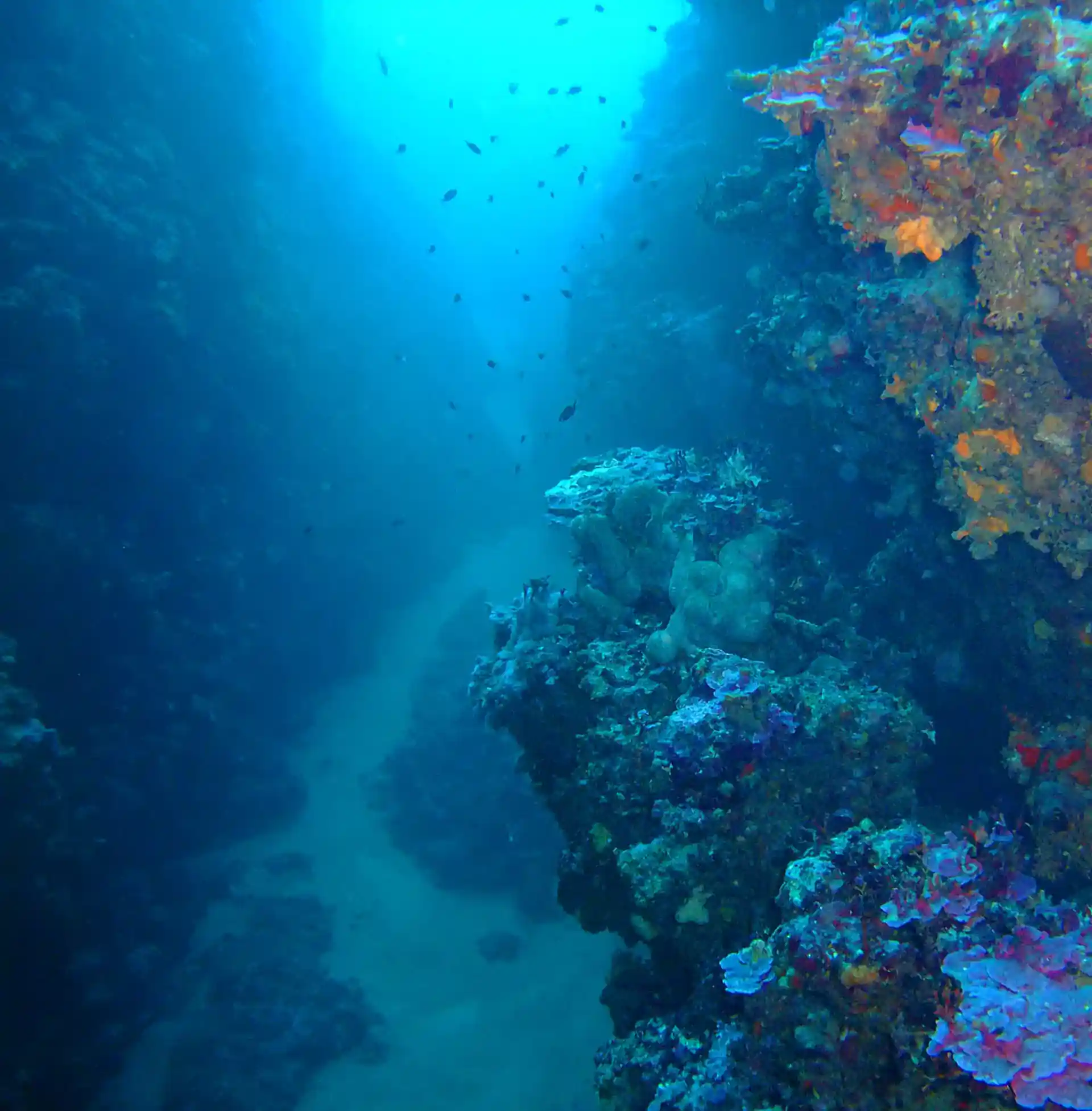 Foto des Tauchplatzes