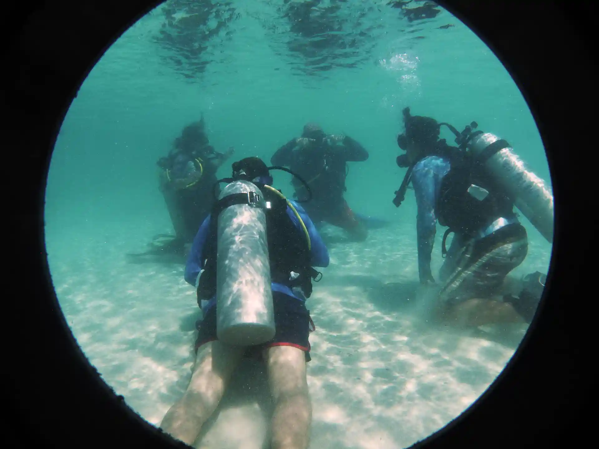 Photo de l'activité