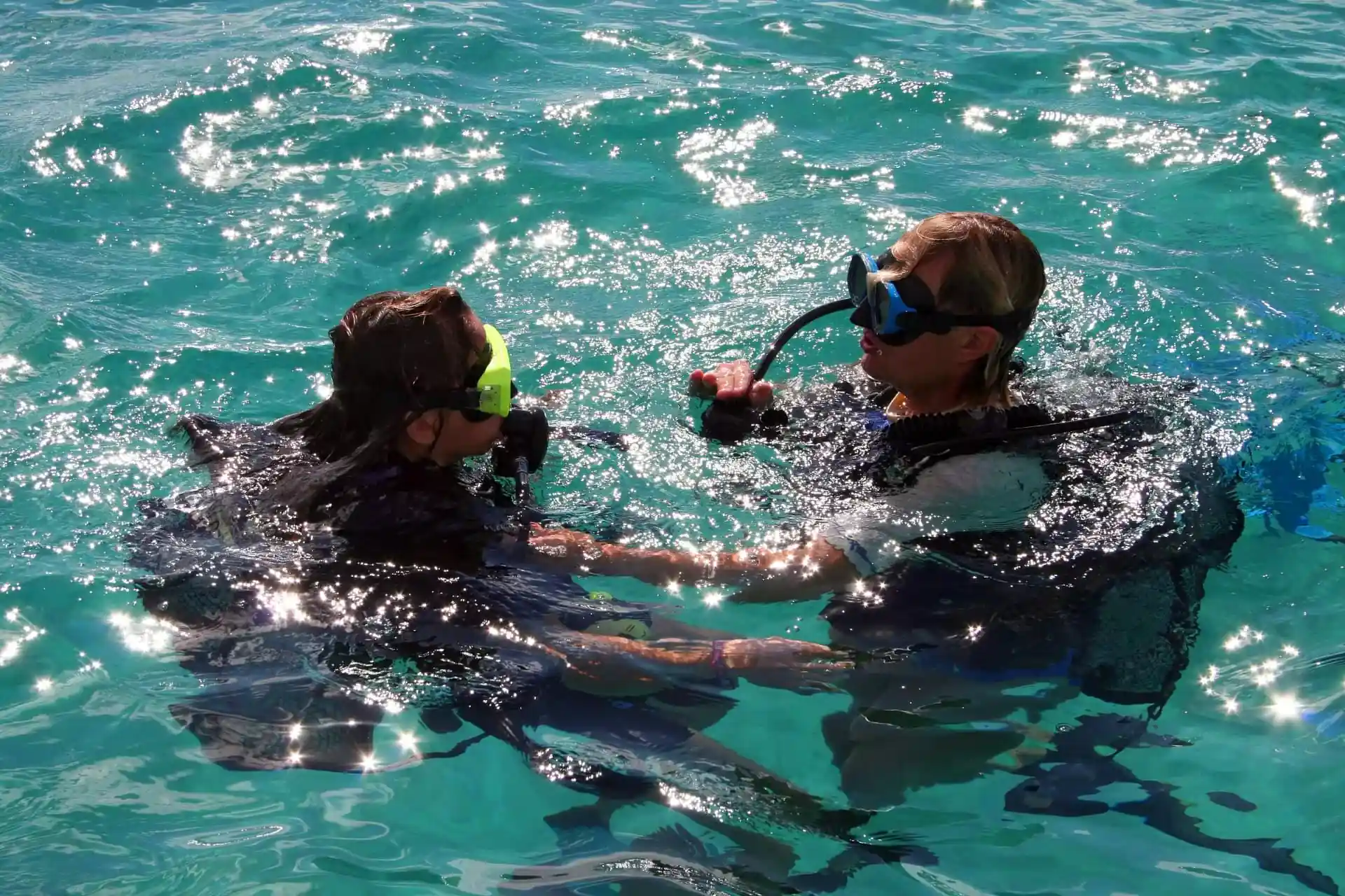 Photo de l'activité