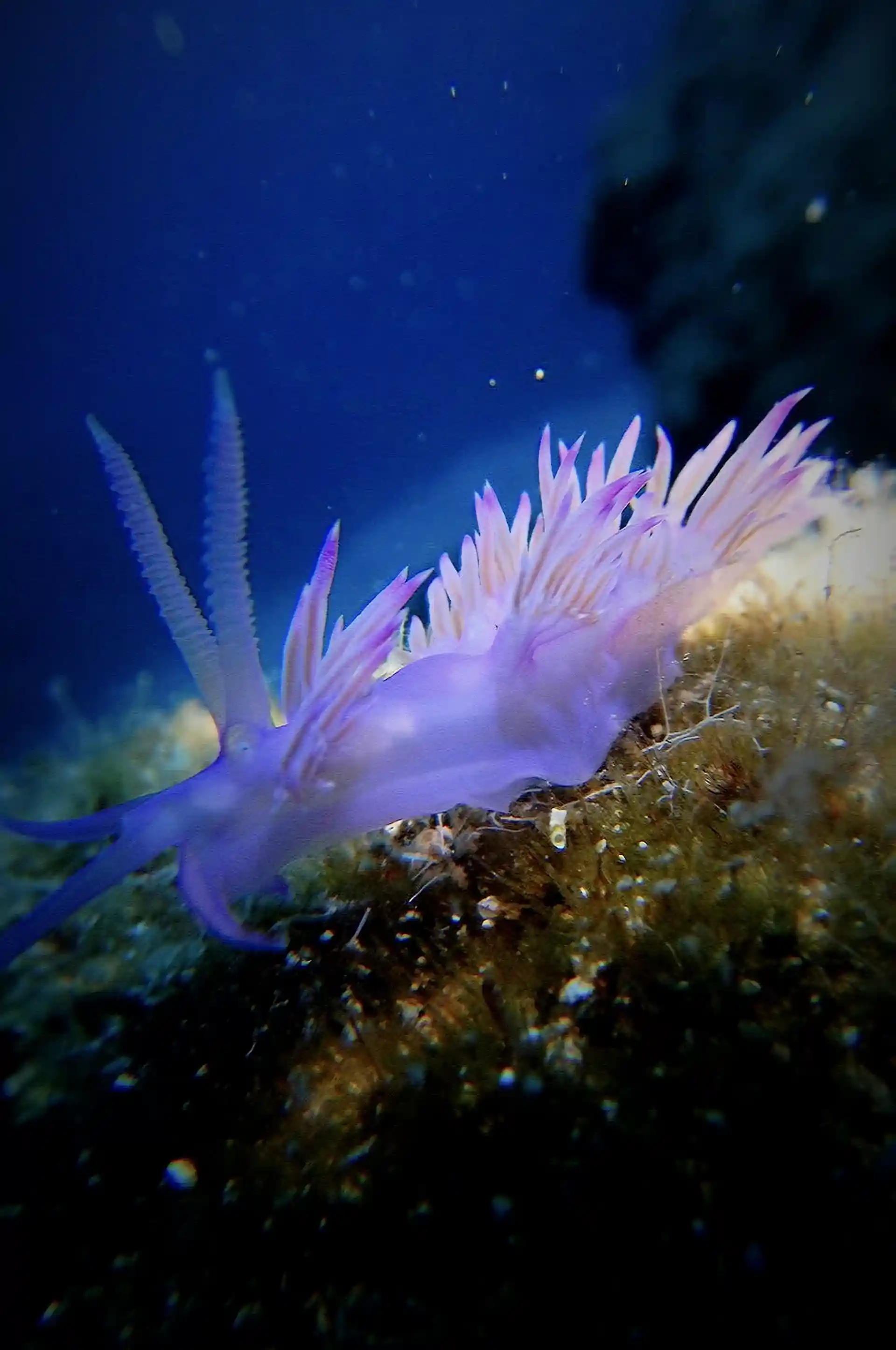Dive site photo