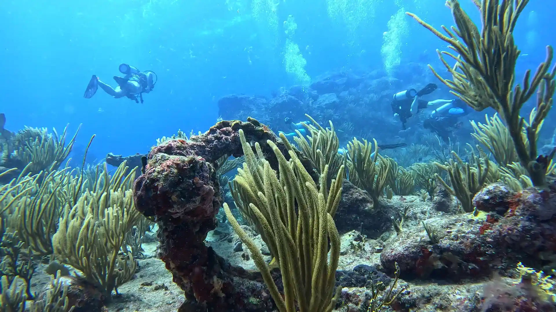 Anchors and cannons at HMS Proselyte!