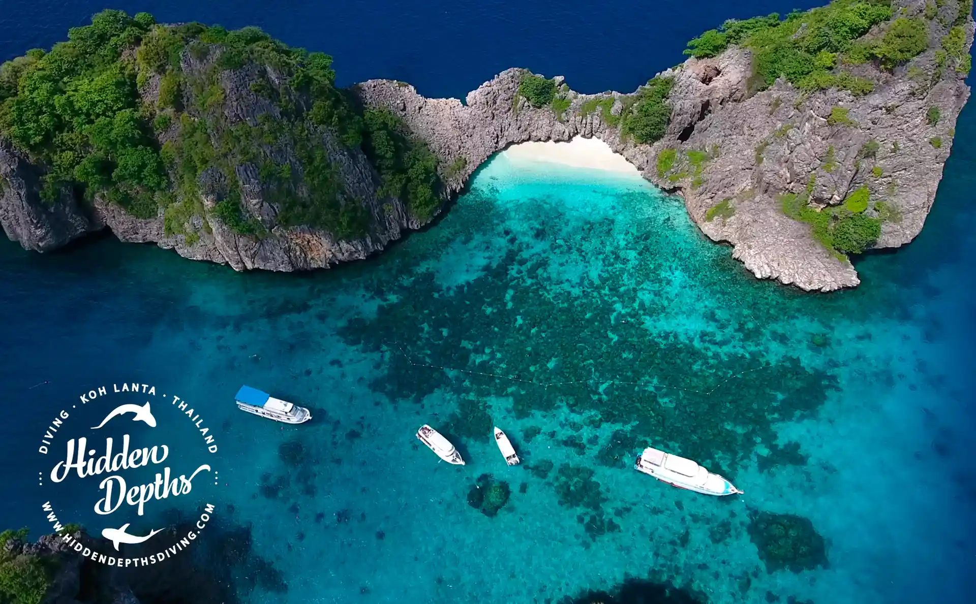 Photo de l'activité