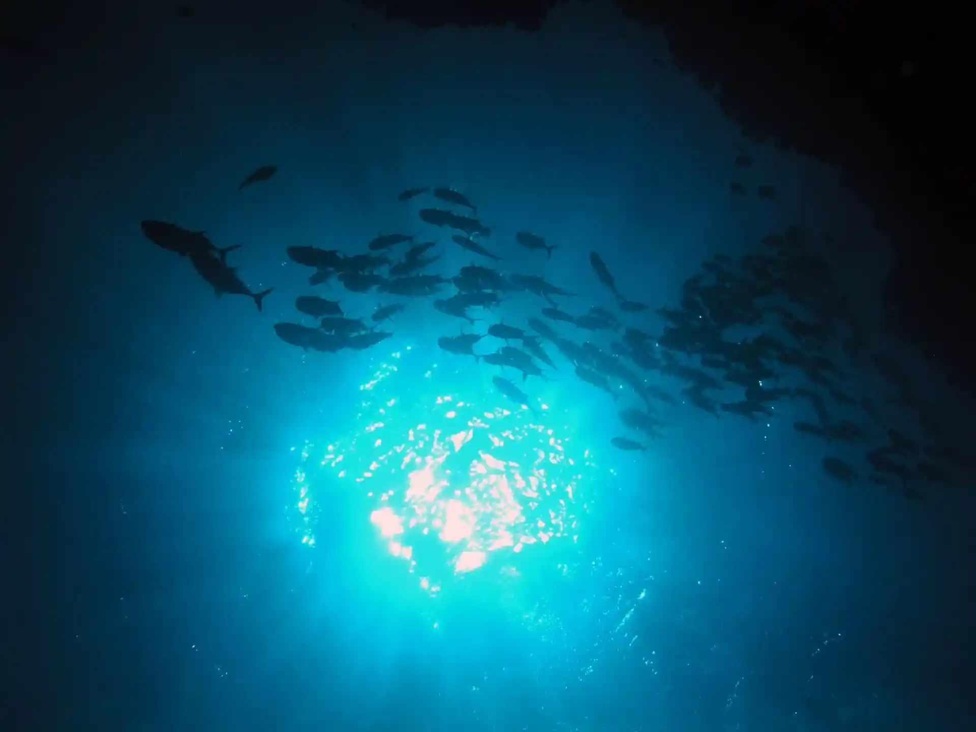 Dive site photo