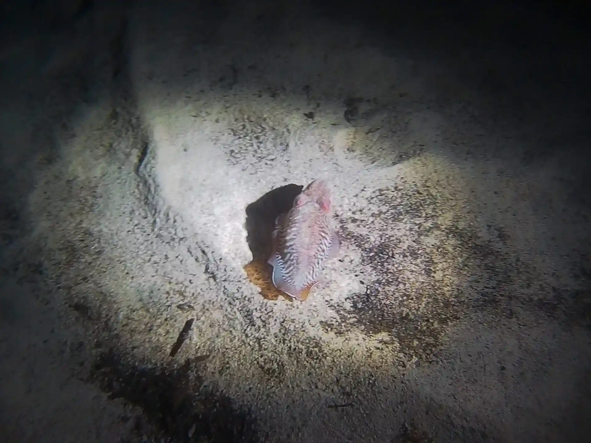 Dive site photo