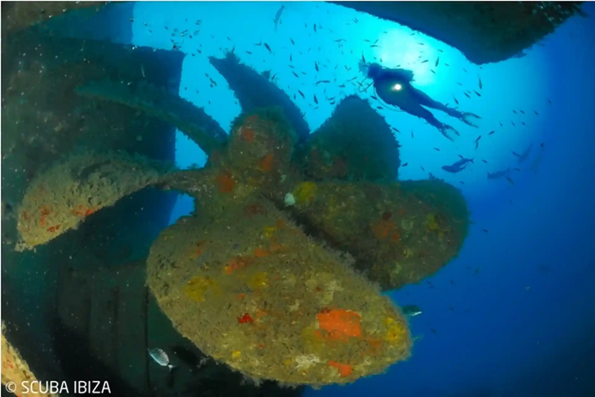 Dive site photo