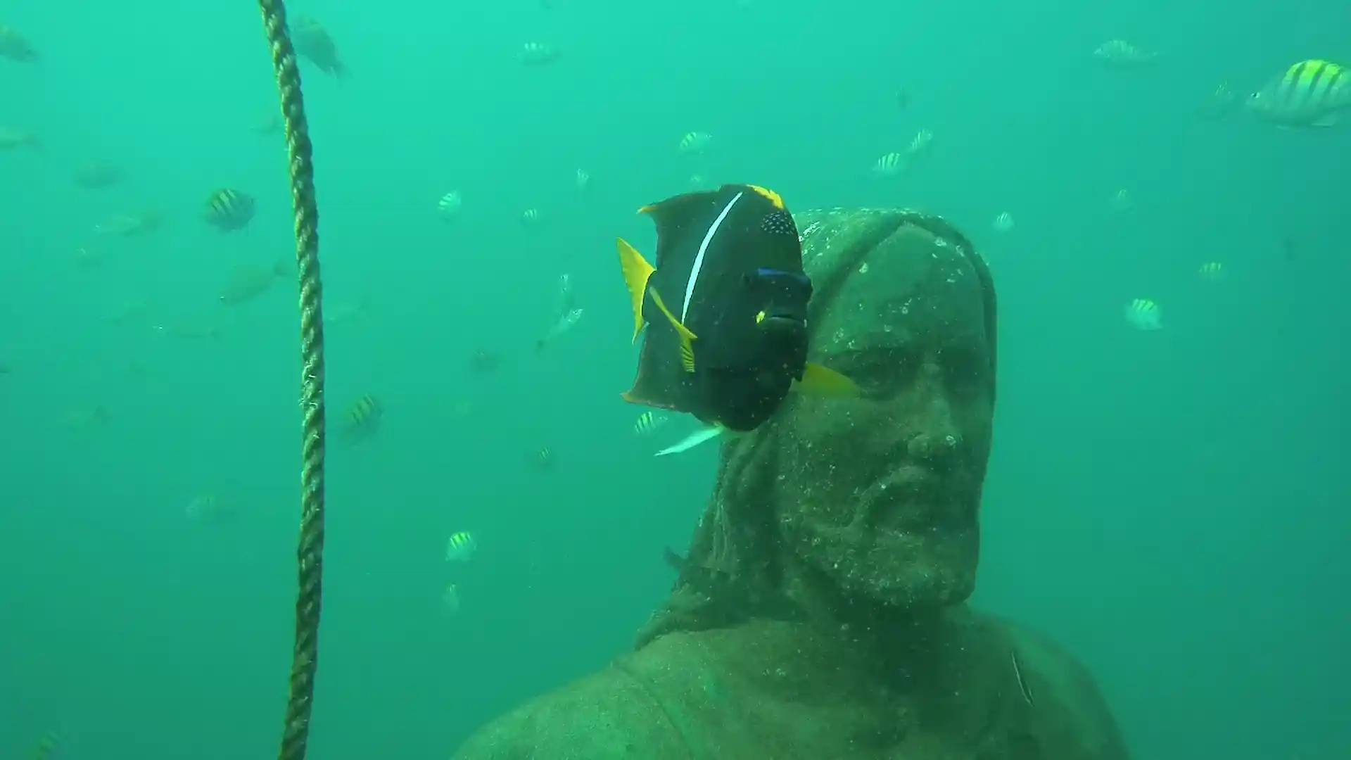 Foto del sitio de buceo