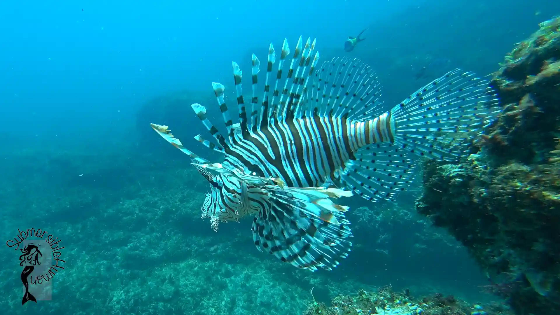 Dive site photo