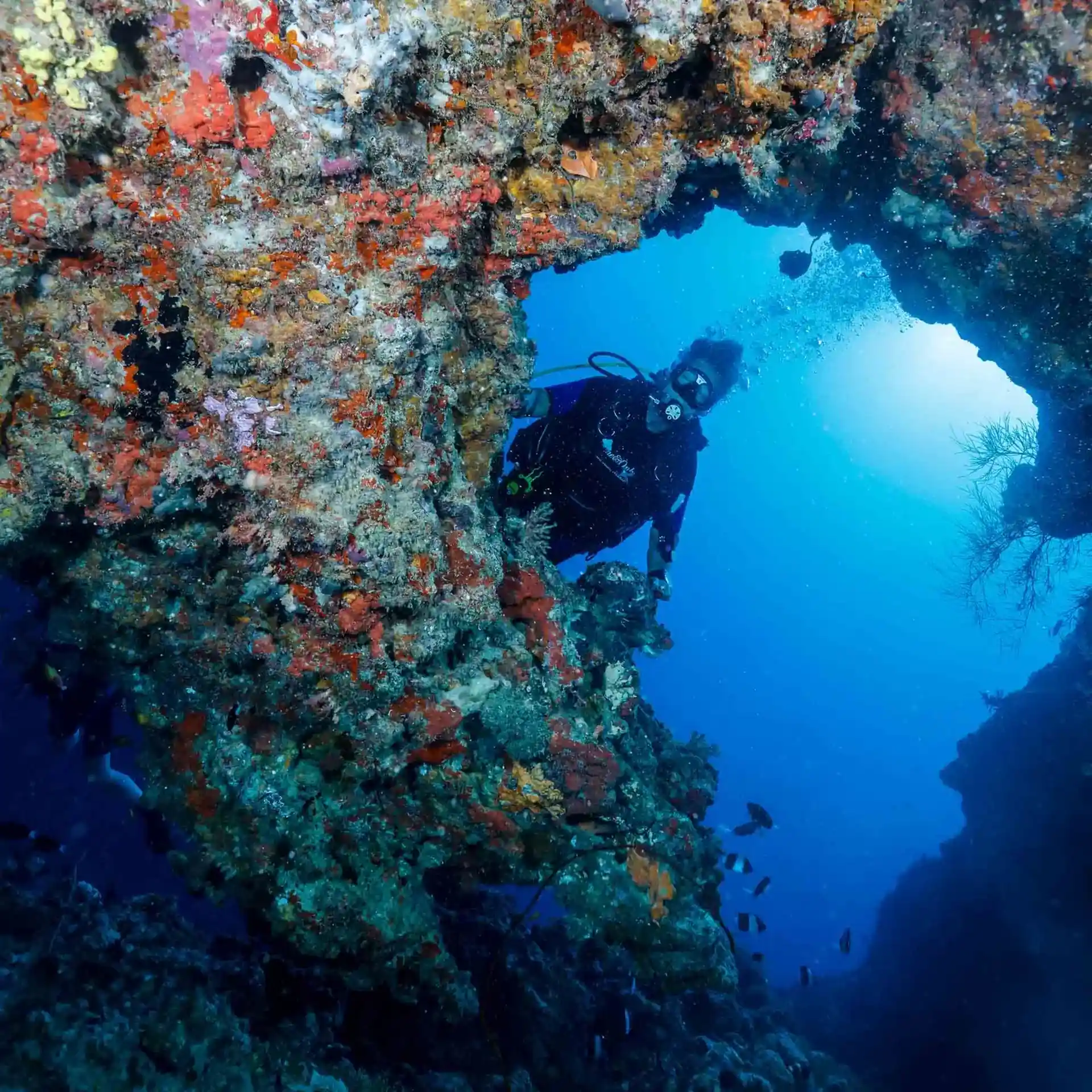 Photo du site de plongée