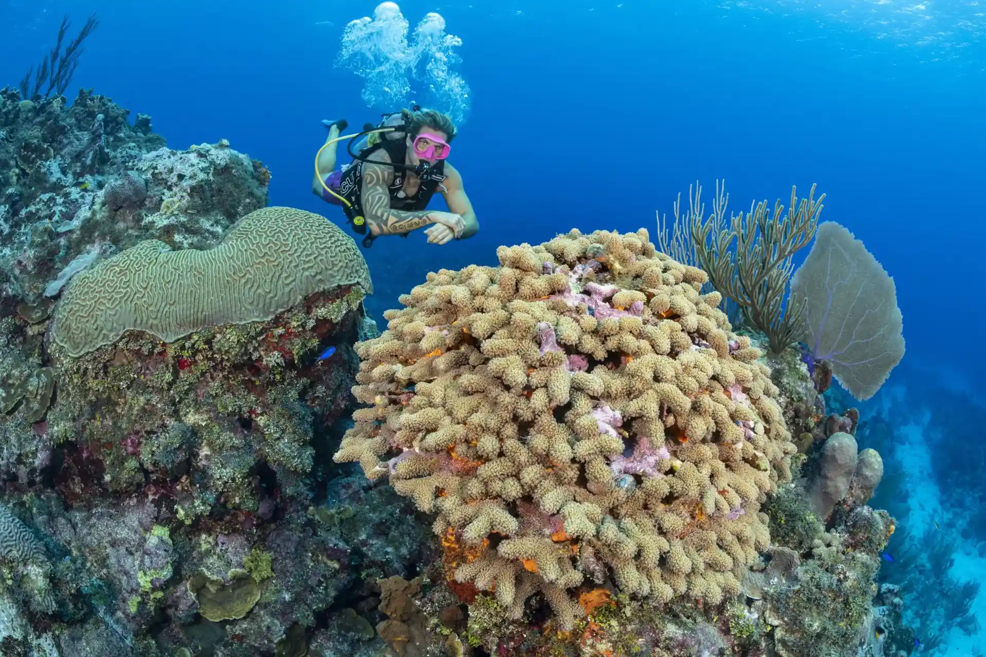 Dive site photo