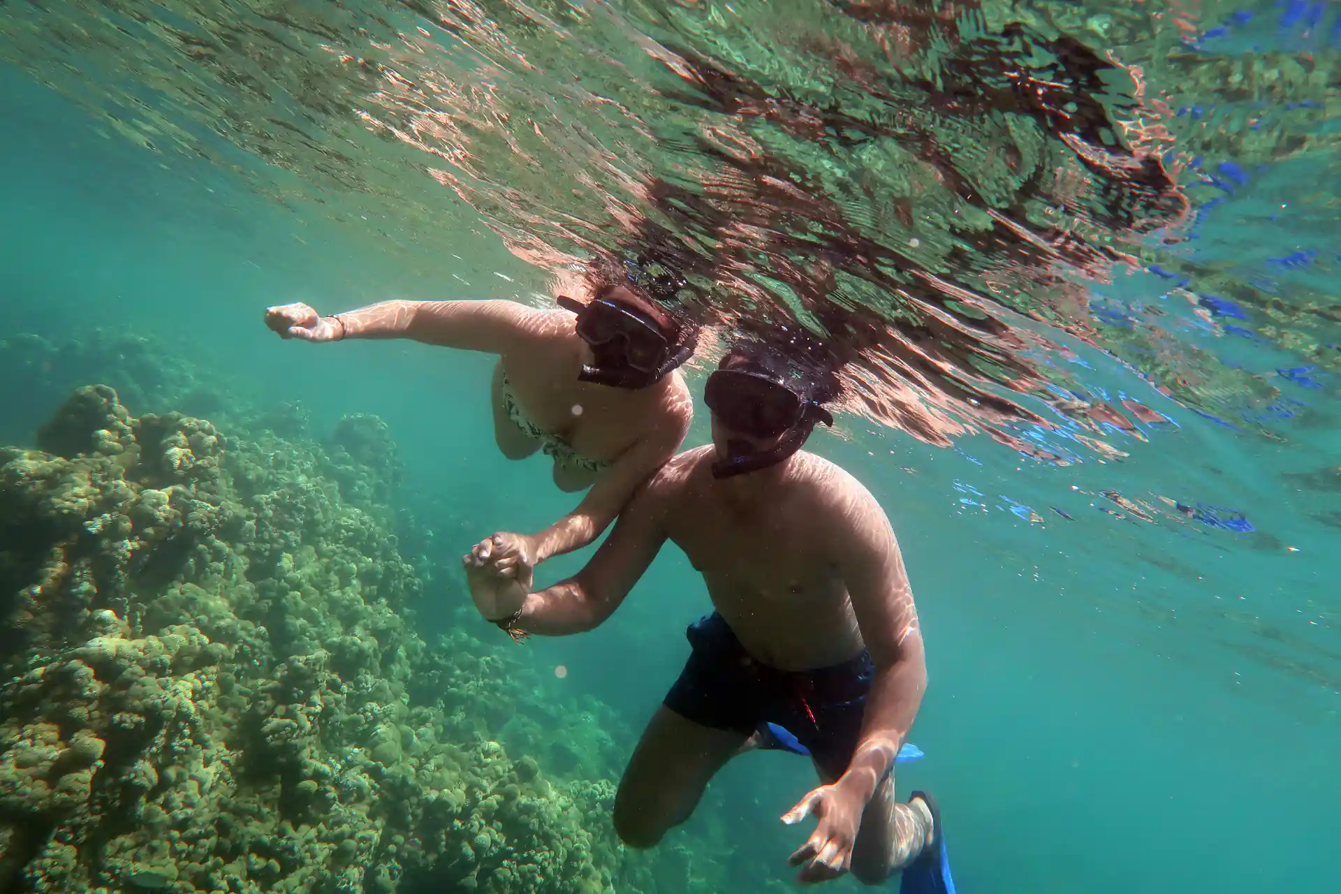 Snorkeling trip.