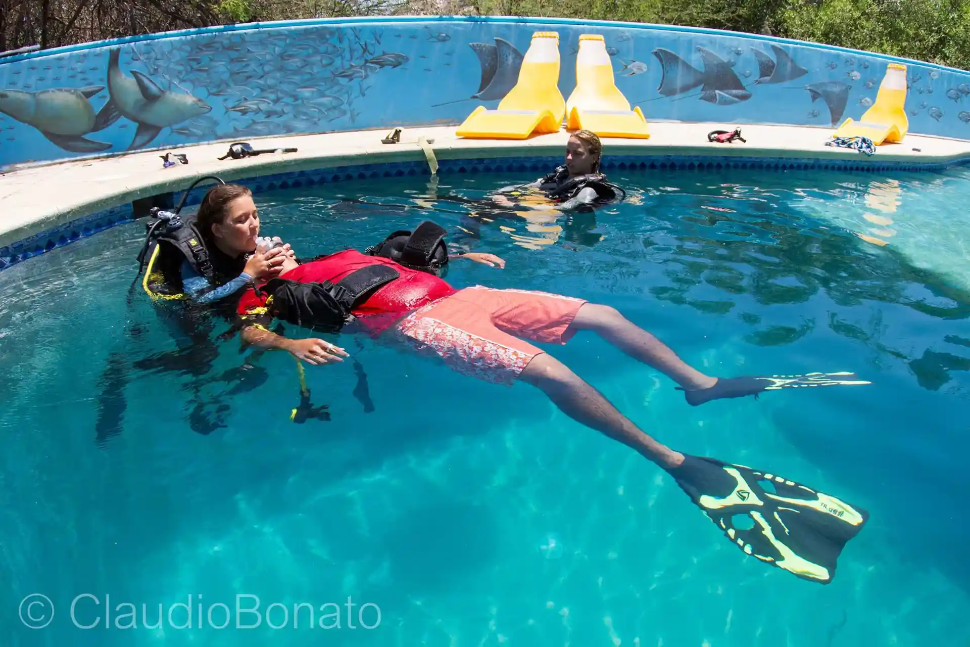 Dive shop photo